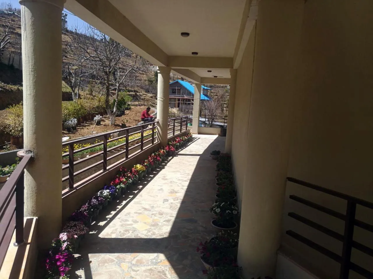 Garden in Casa Dream The Resort