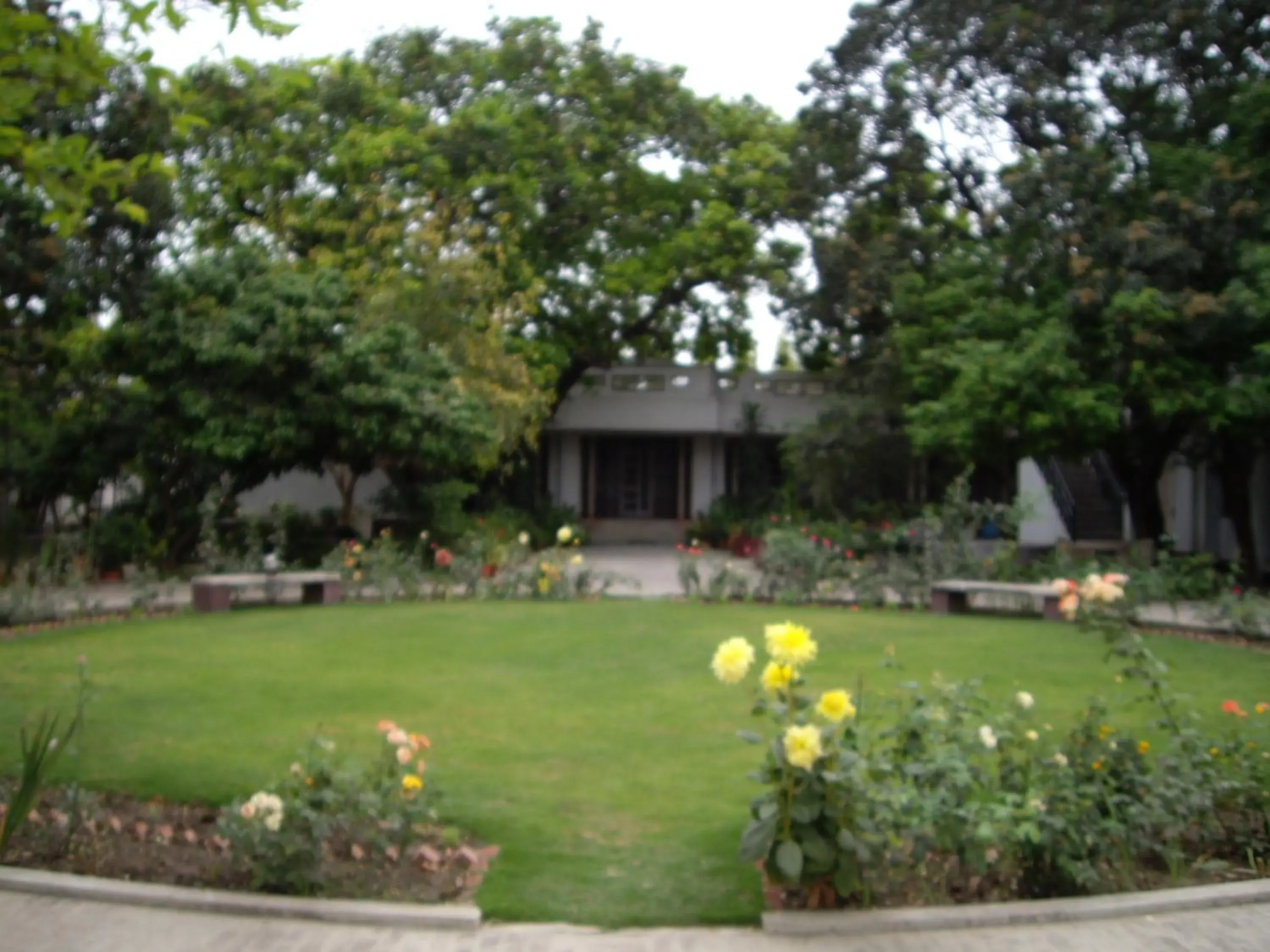 Vatika Homestay Vatika Homestay