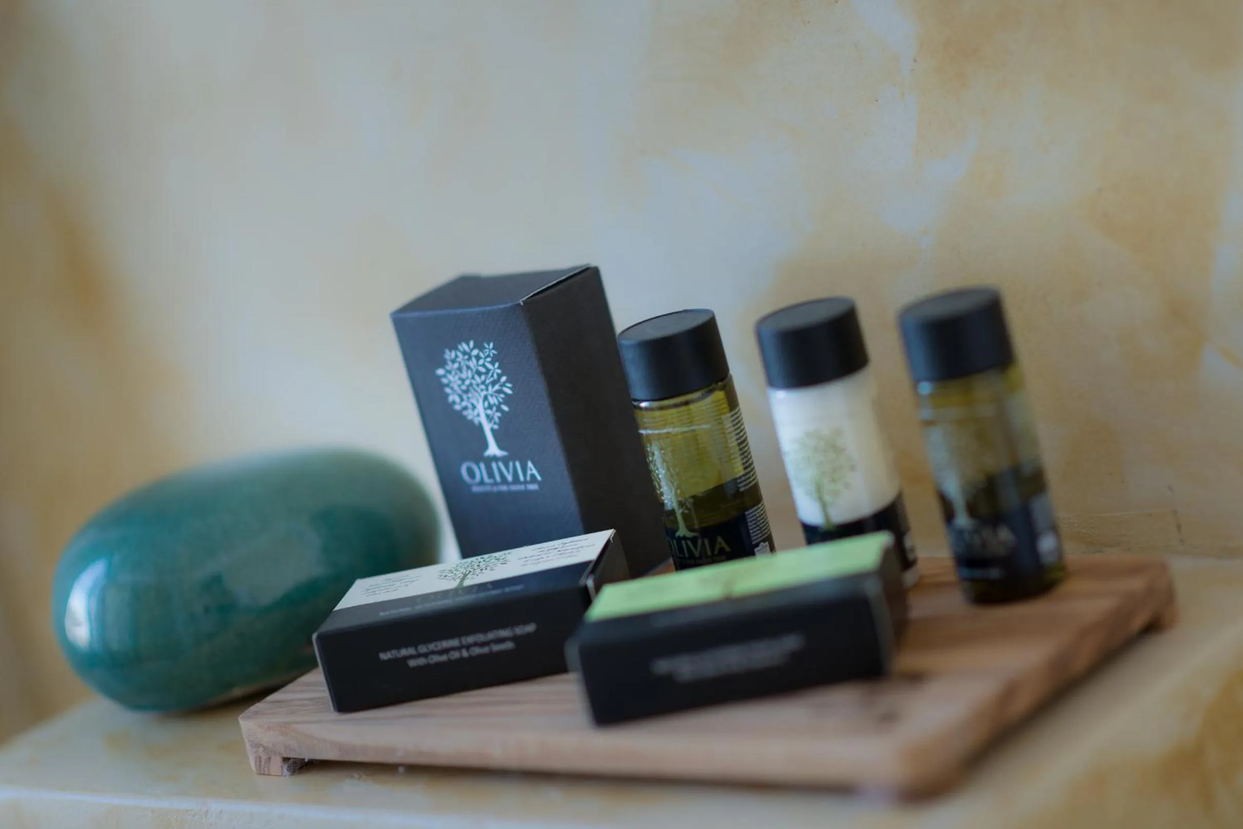 Area and facilities in Palladian Home