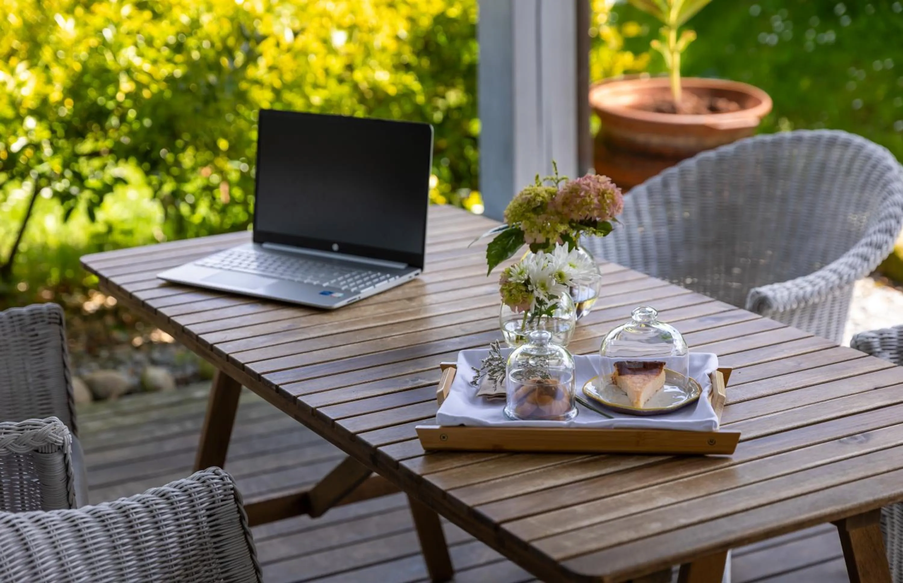 Garden in Casona Las Cinco Calderas