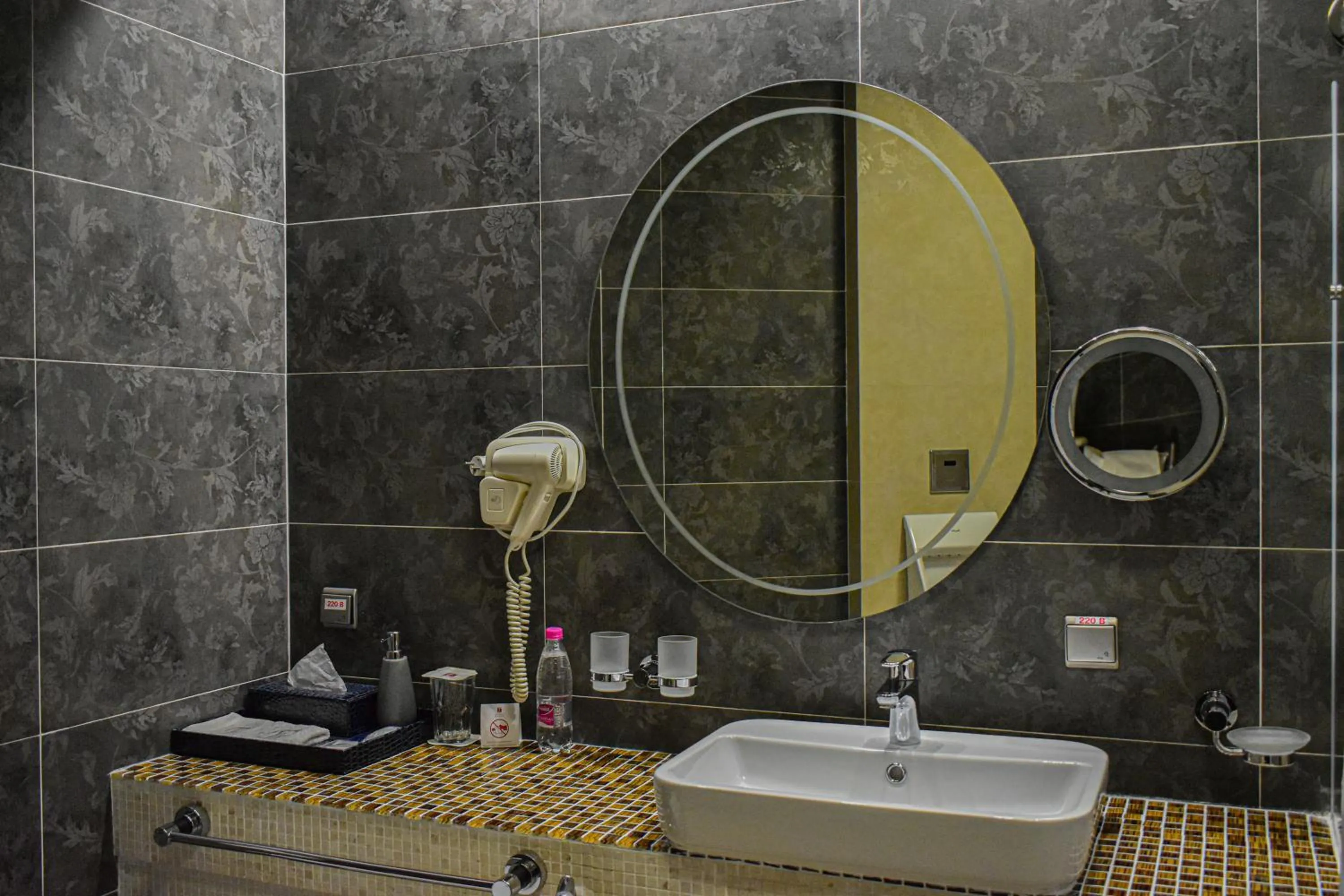 Facility for disabled guests in Hotel Feride