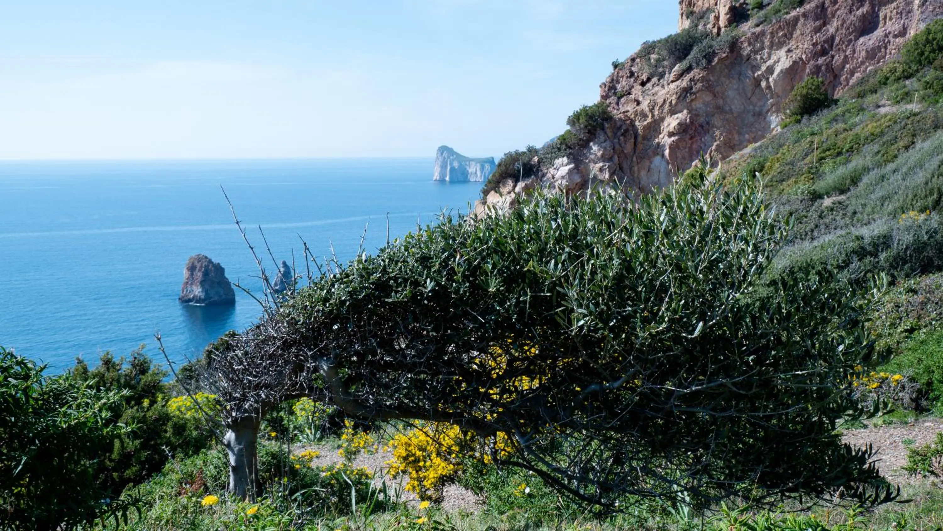 Natural landscape in Il Veliero Tanca Piras