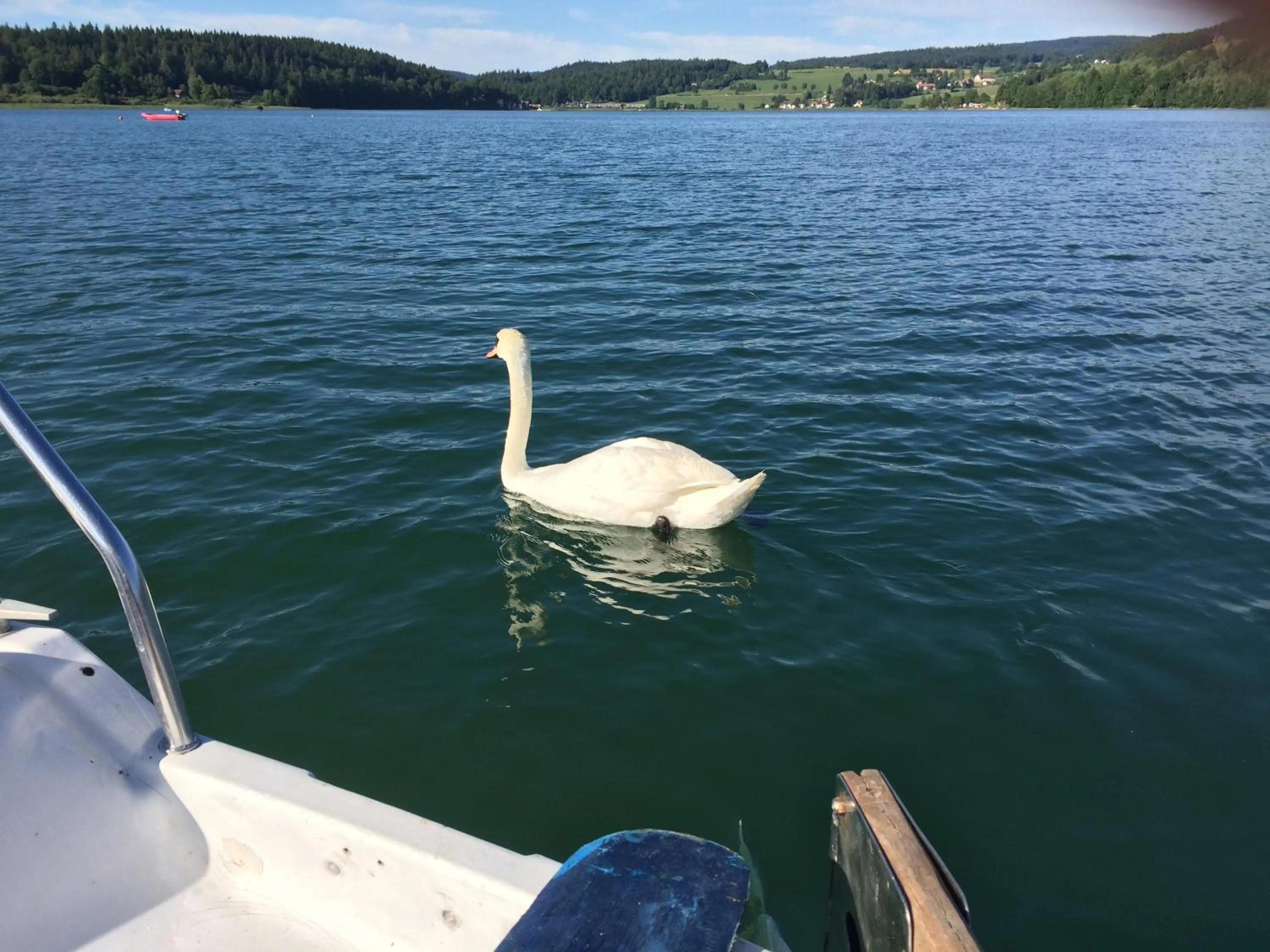 Windsurfing in Au Charnet