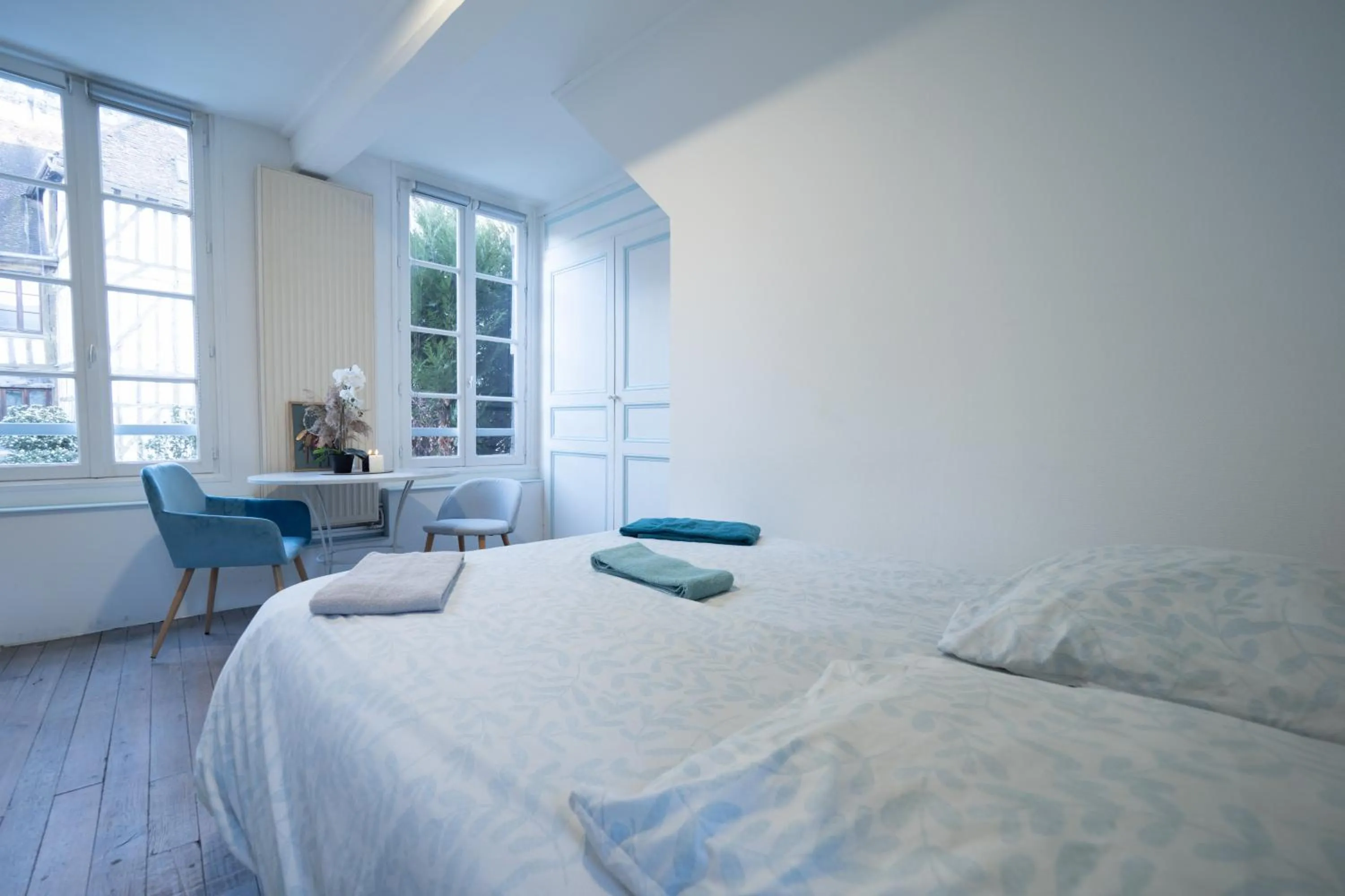 Bed in L'Oiseau De La Cathédrale - Calme - Jardin - Wifi
