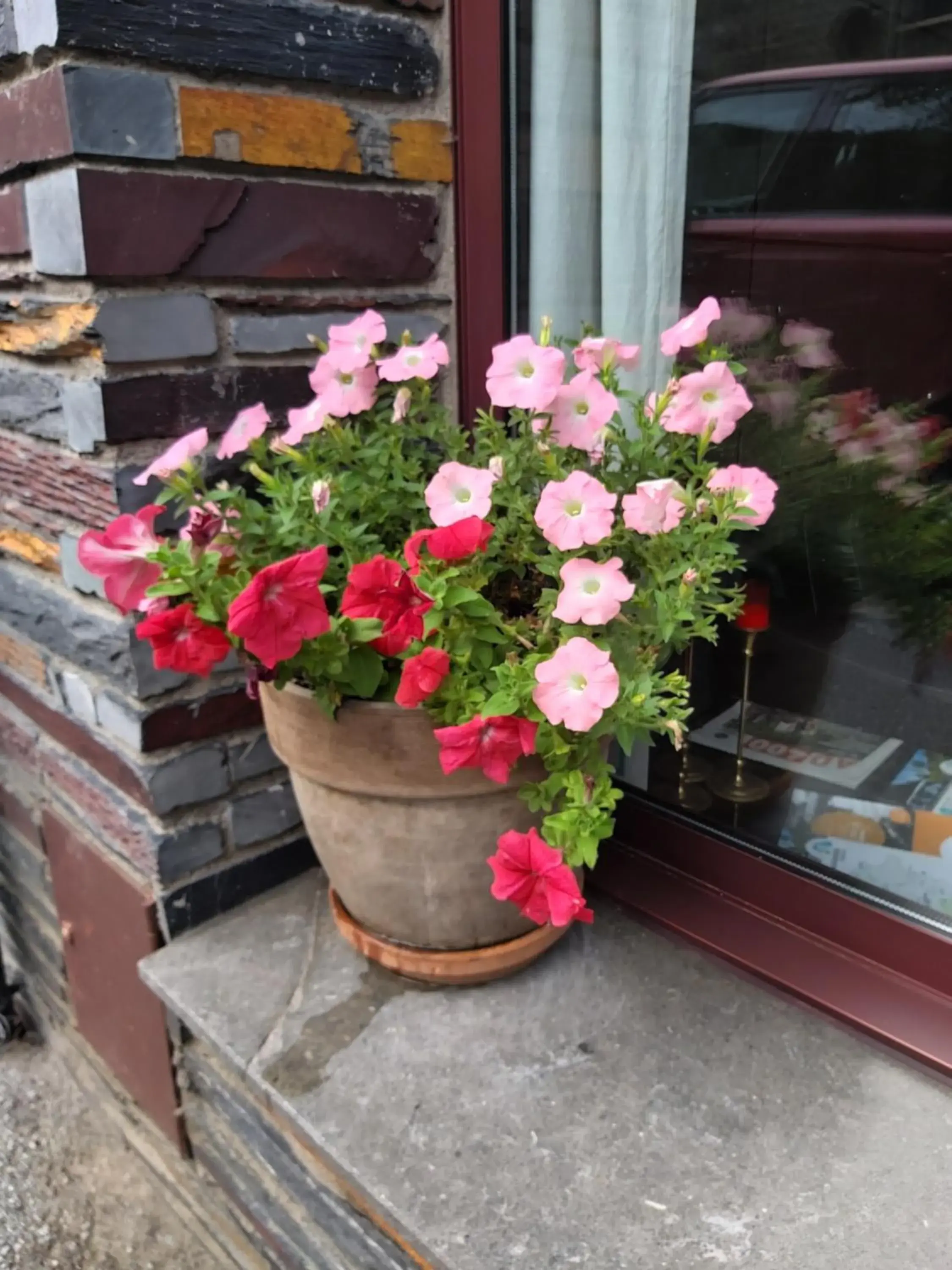 Facade/entrance in Hotel Montané Facade/entrance in Hotel Montané