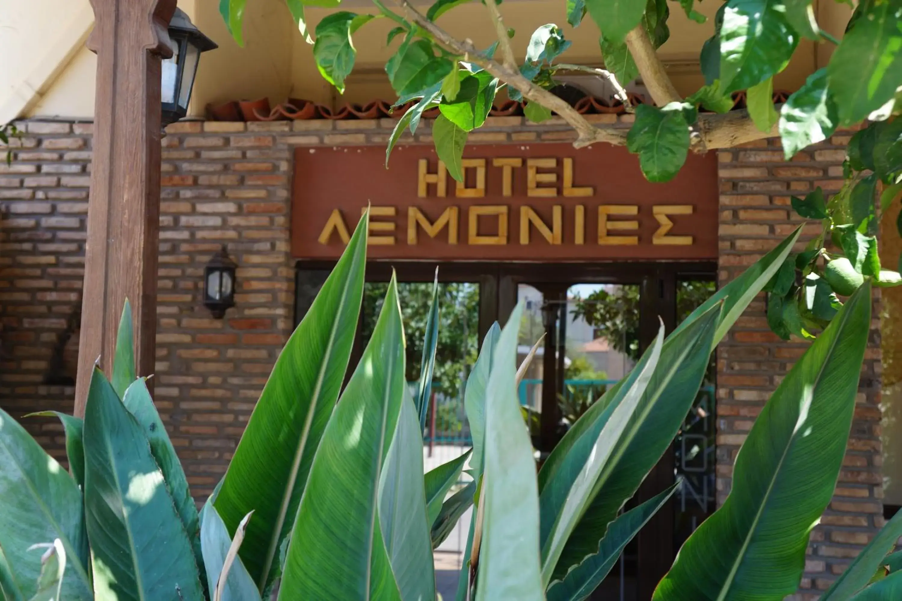 Lemonies Lemonies