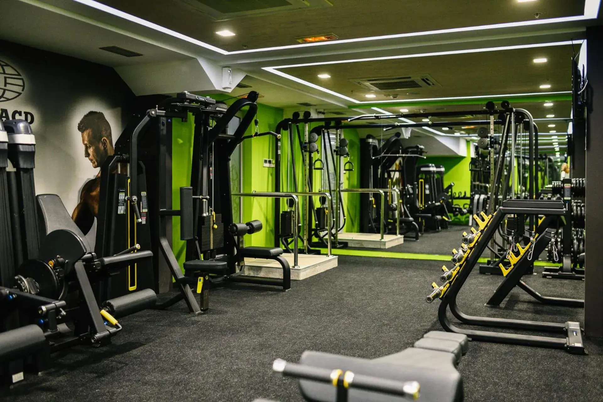 Fitness centre/facilities in Wellness & Spa Hotel ACD Fitness centre/facilities in Wellness & Spa Hotel ACD