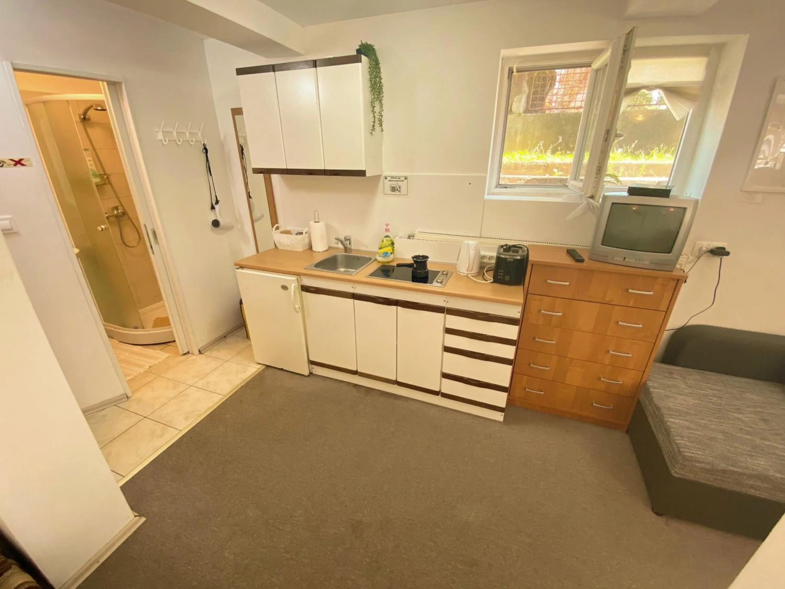 Kitchen or kitchenette in Family Guesthouse GreenSLO