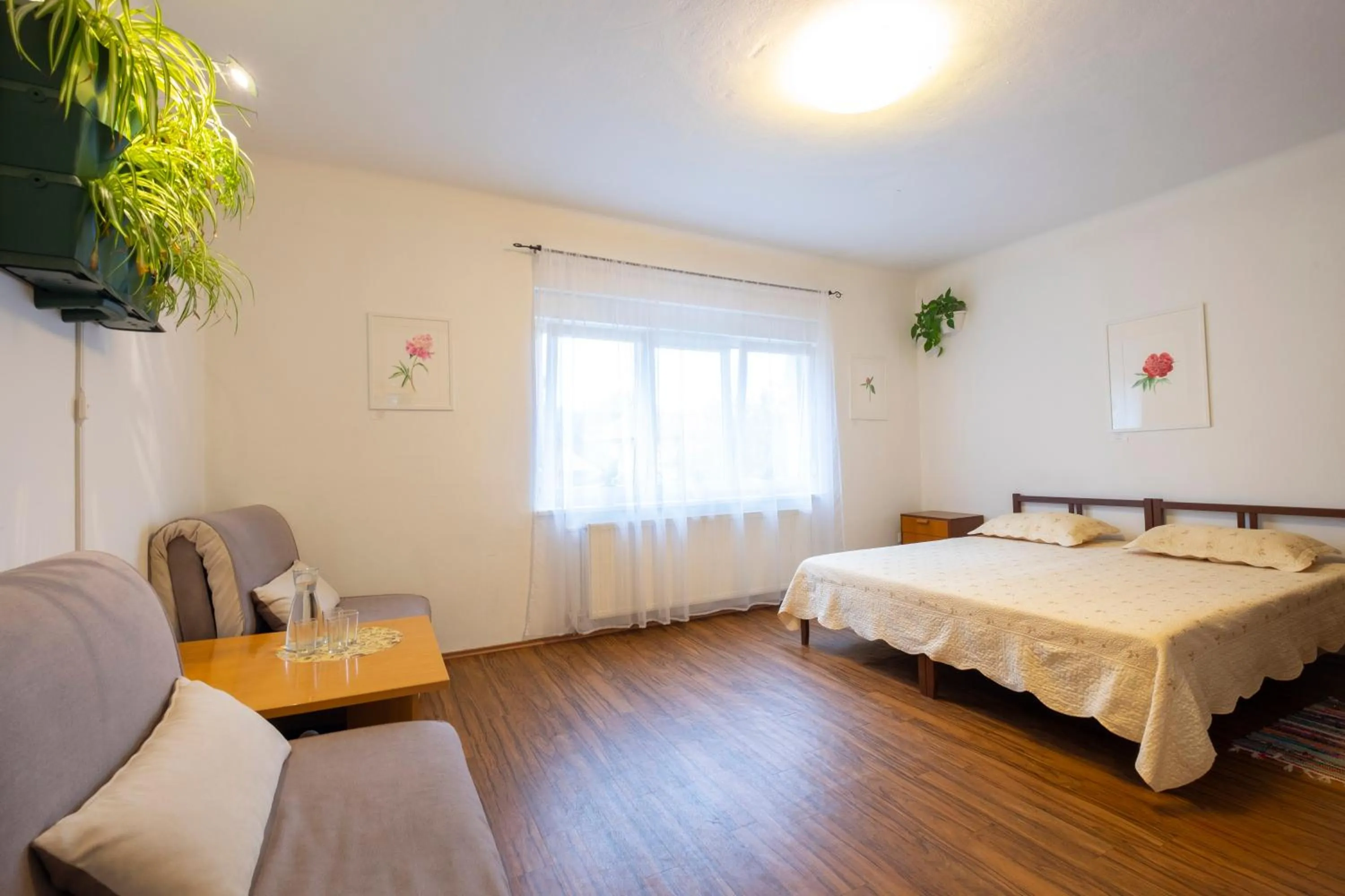 Photo of the whole room, Bed in Family Guesthouse GreenSLO