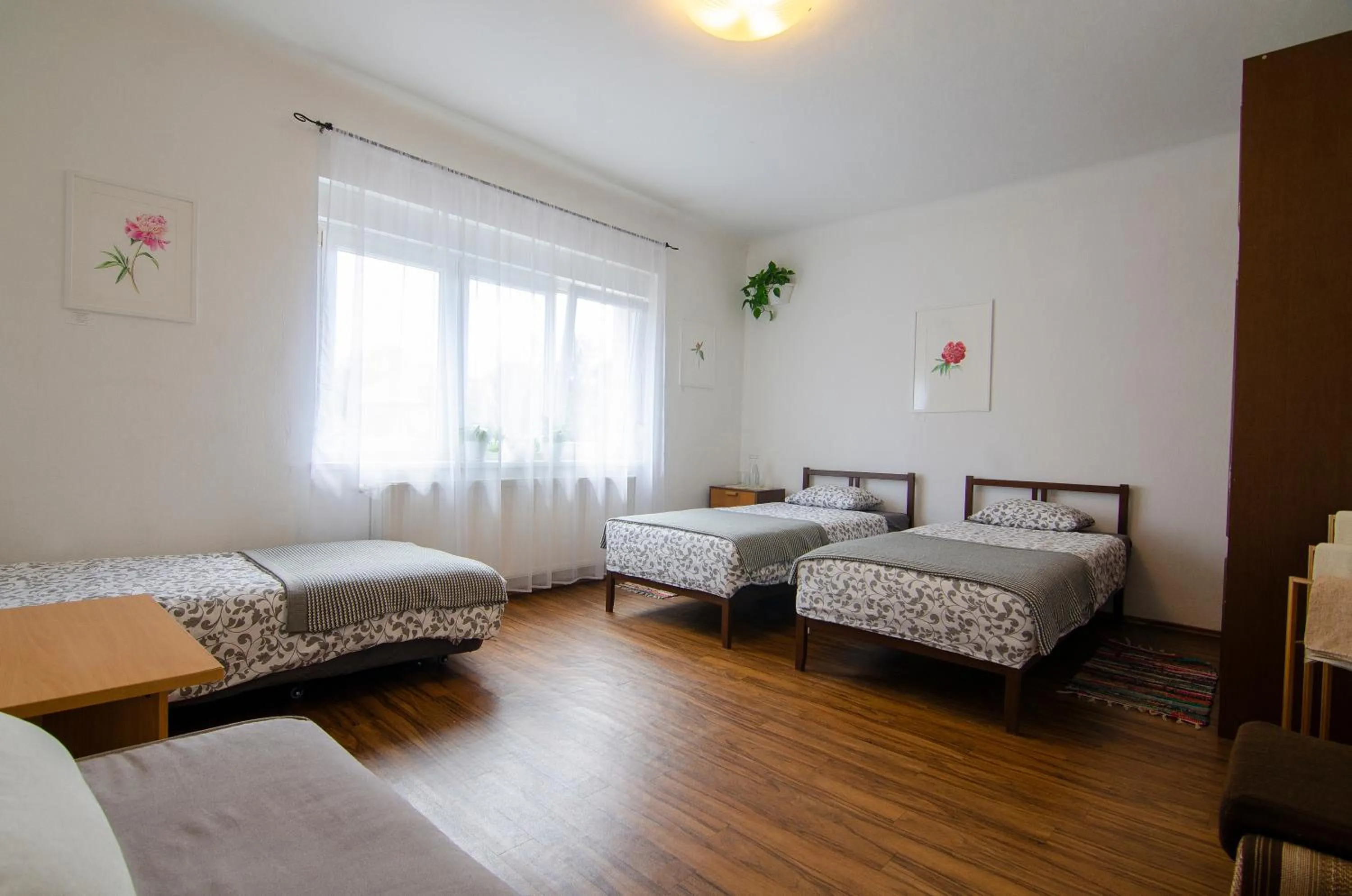 Bed in Family Guesthouse GreenSLO