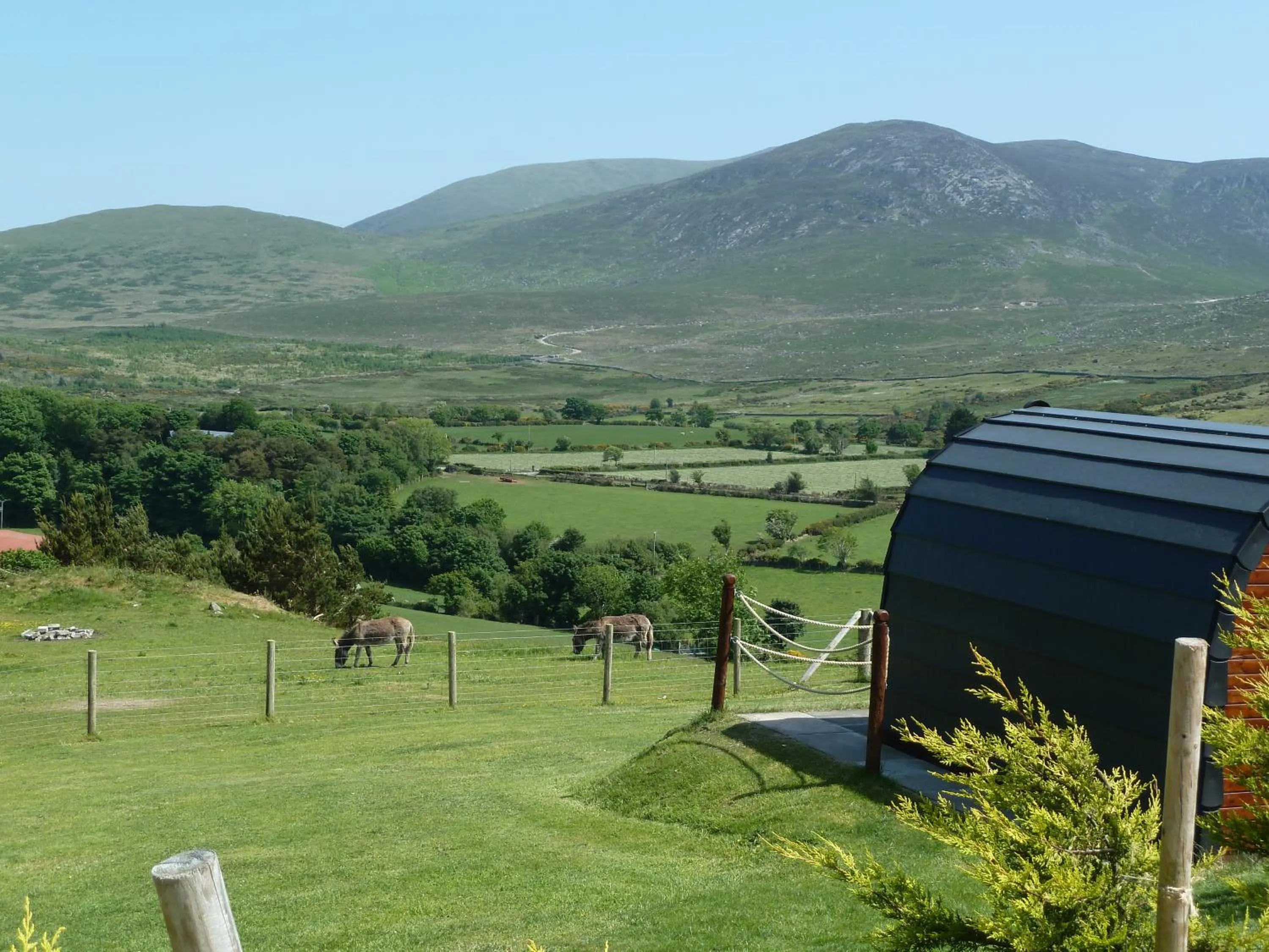 Mountain view in Gorse Hill Glamping