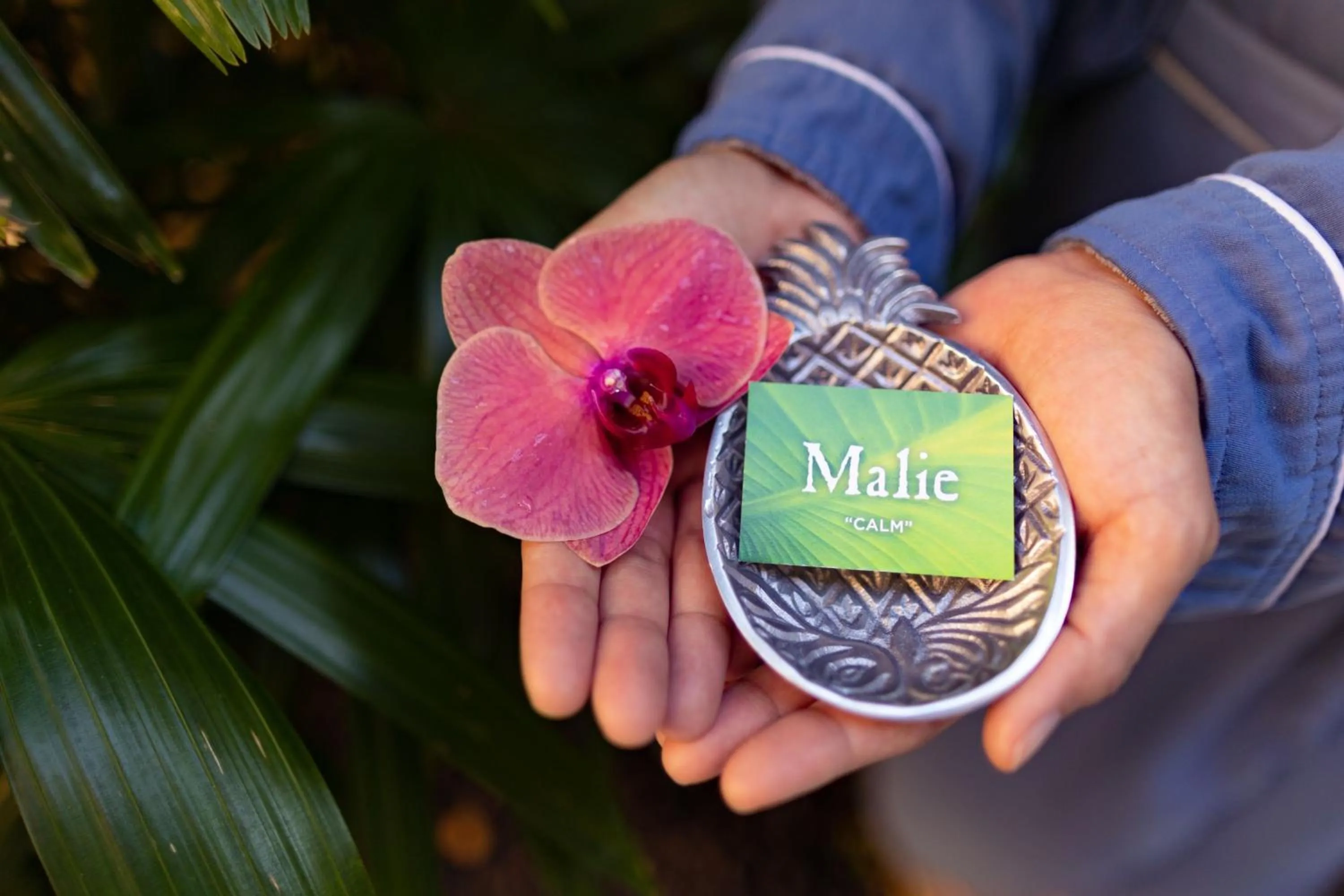 Spa and wellness centre/facilities in The Ritz-Carlton Maui, Kapalua