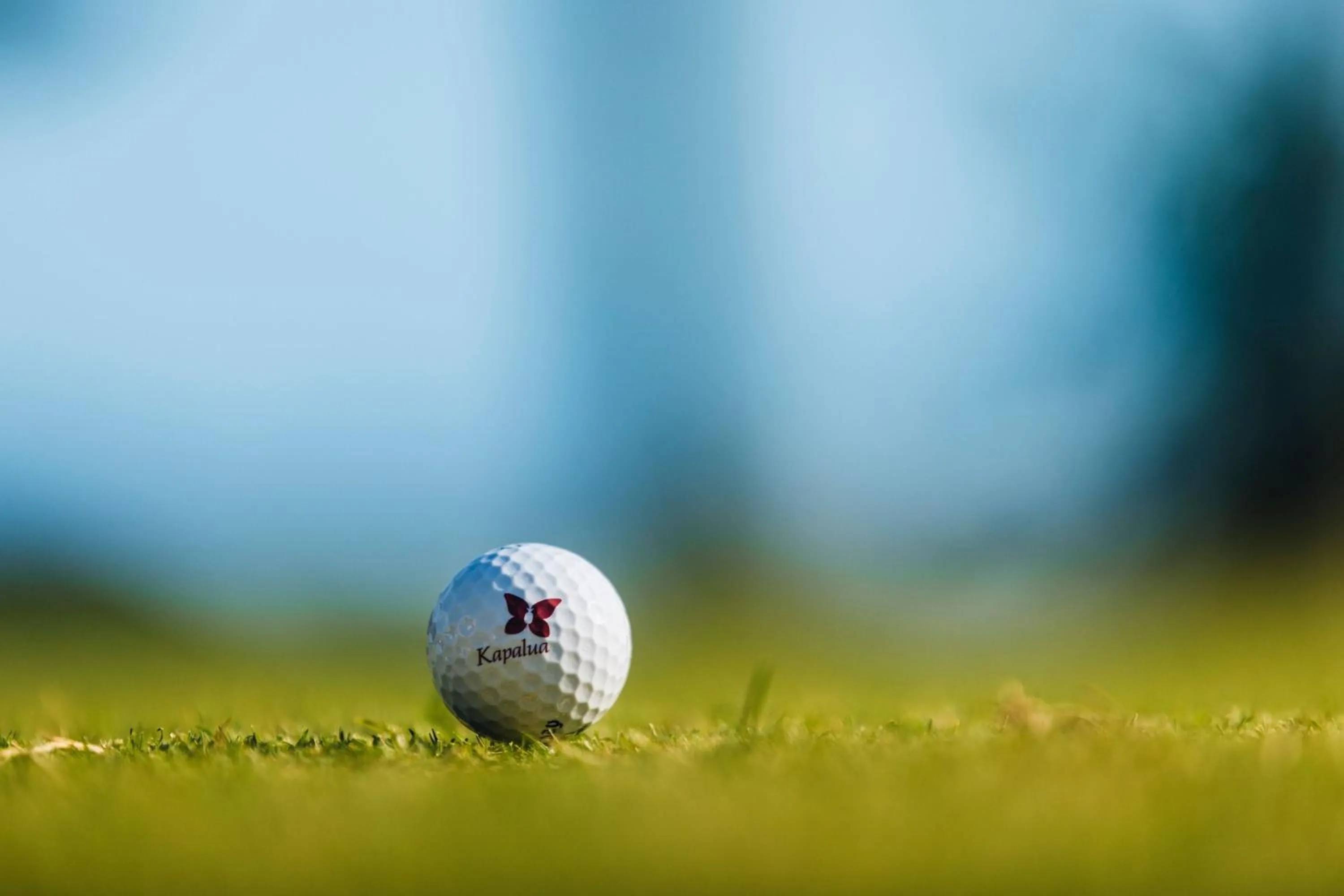 Other in The Ritz-Carlton Maui, Kapalua