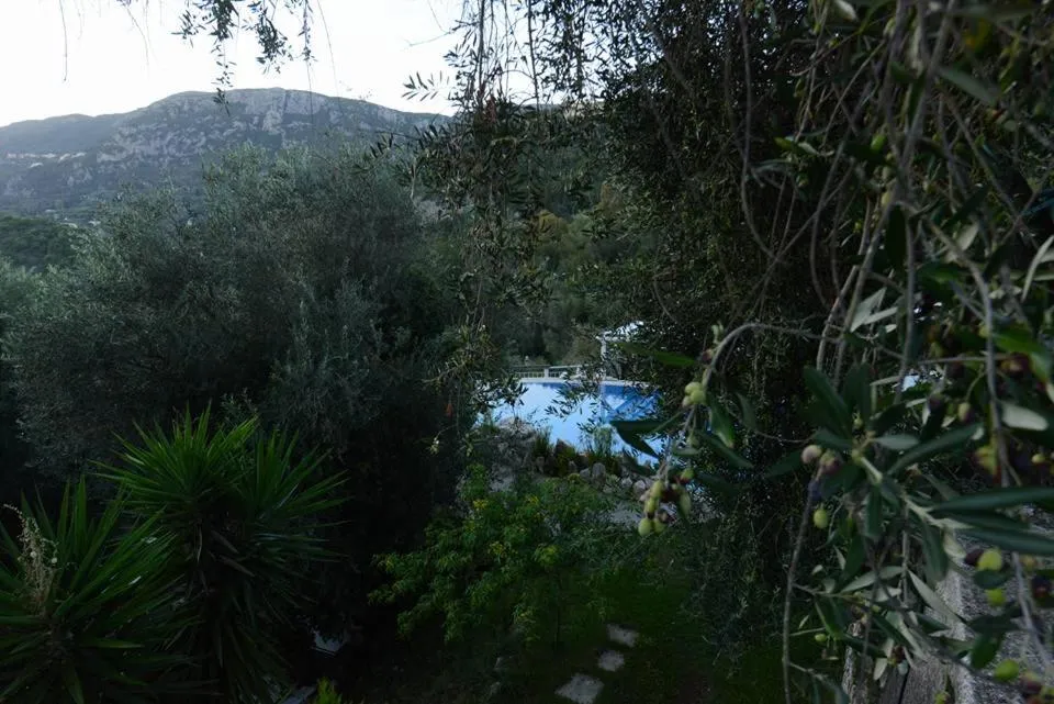 Natural landscape in Shambala Apartments