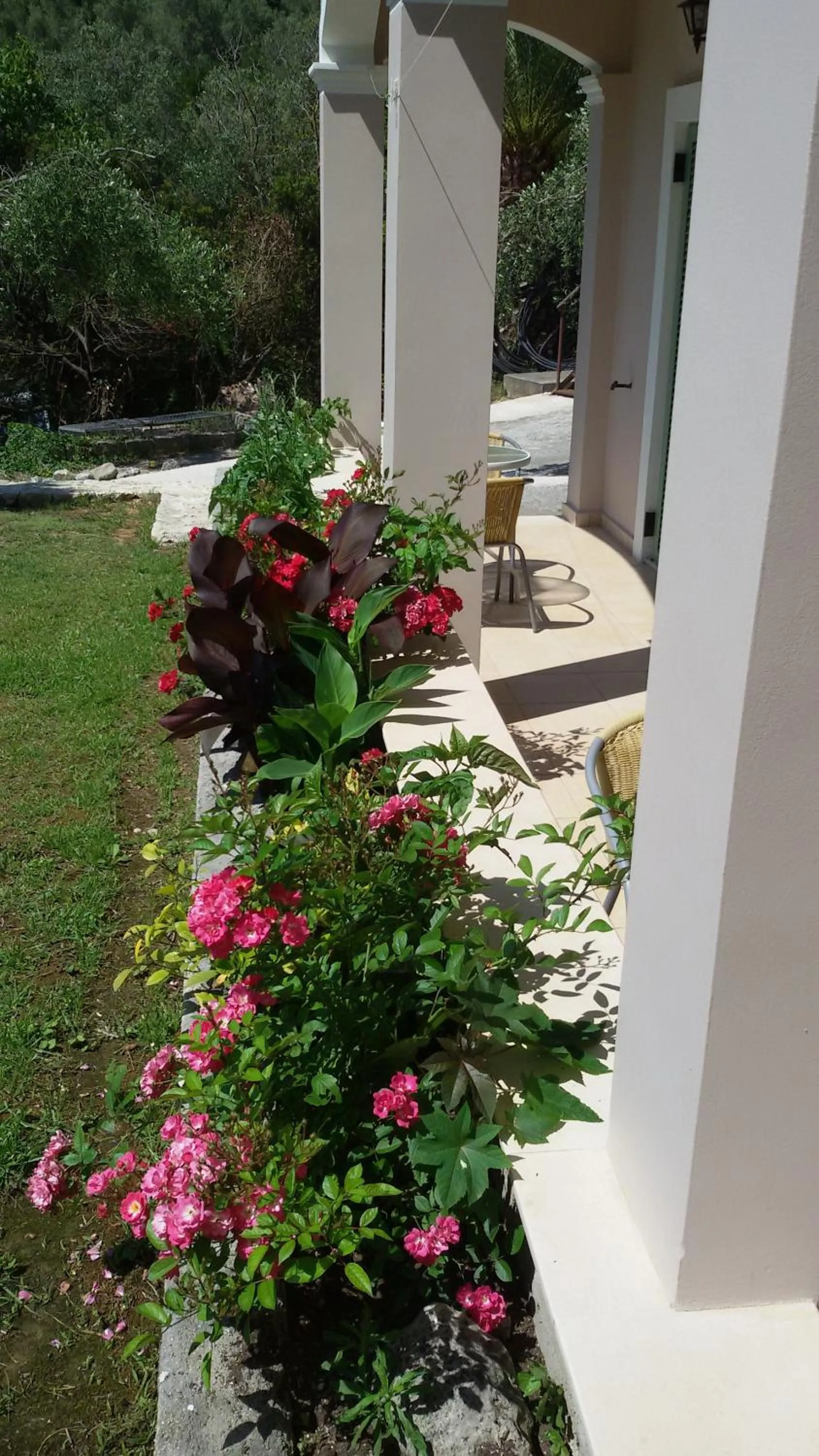 Spring in Shambala Apartments