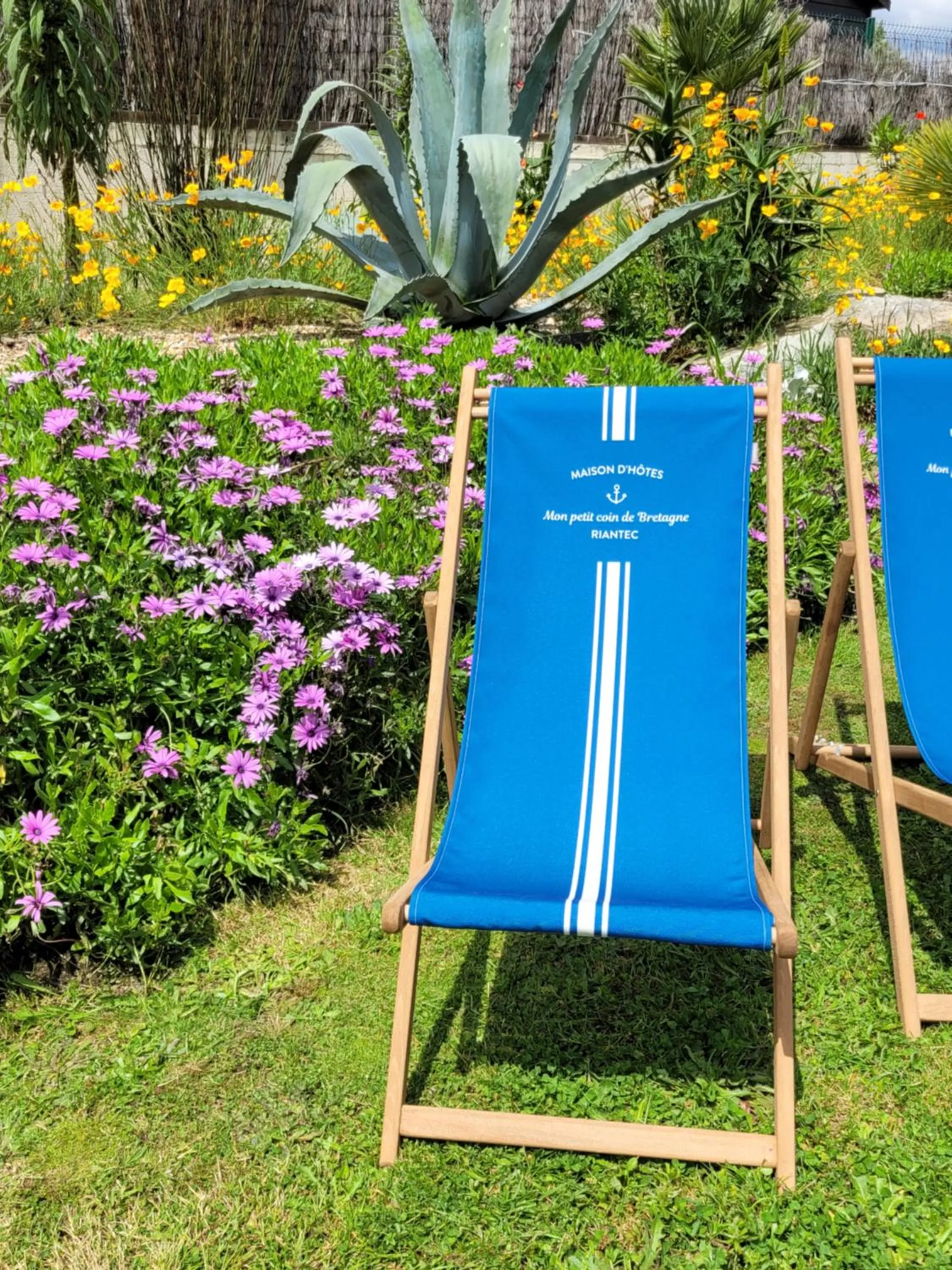 Mon petit coin de Bretagne