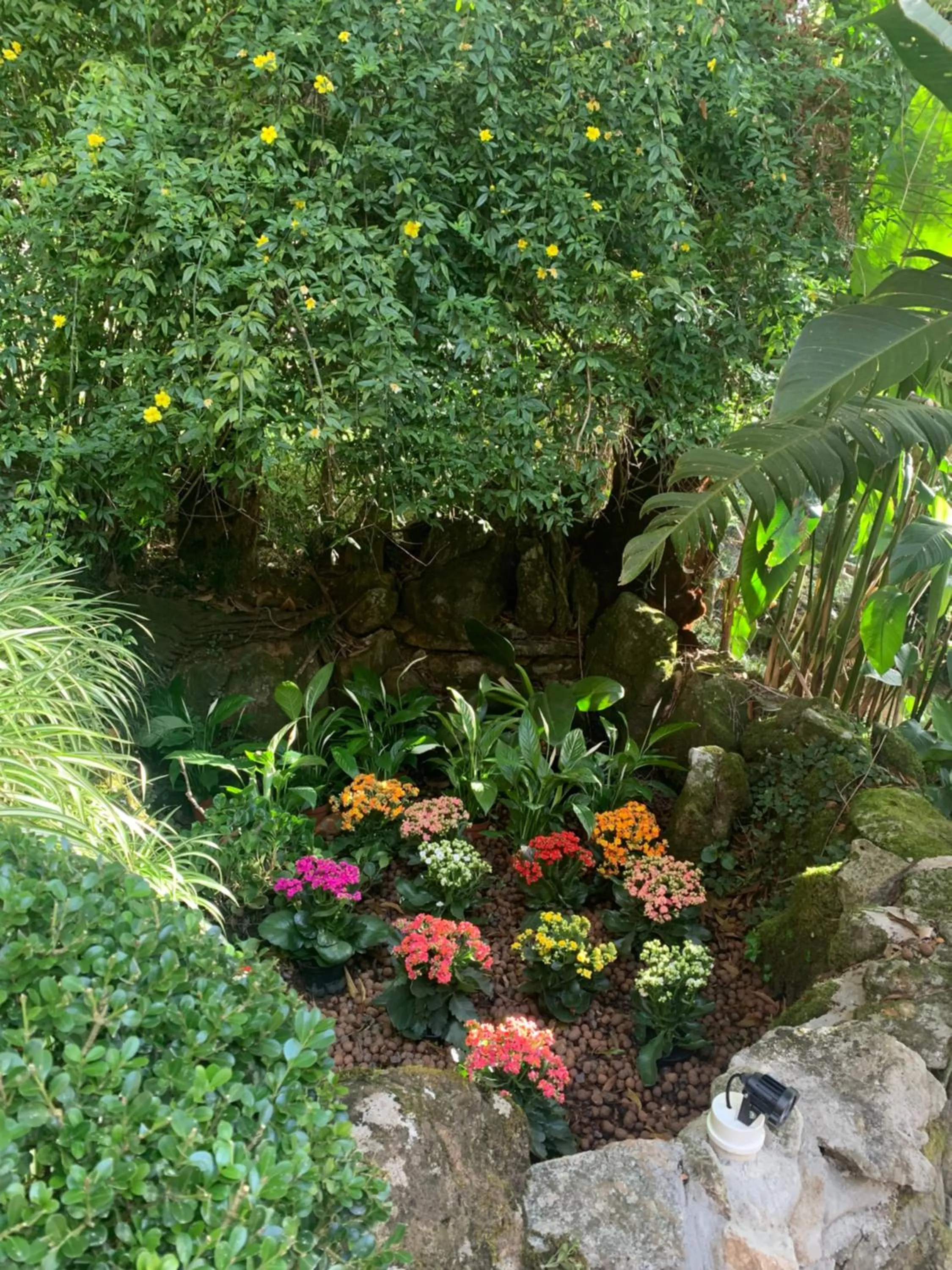 Garden in Hospedagem Casadalee chalé com piscina privativa aquecida e Apartamento sem piscina