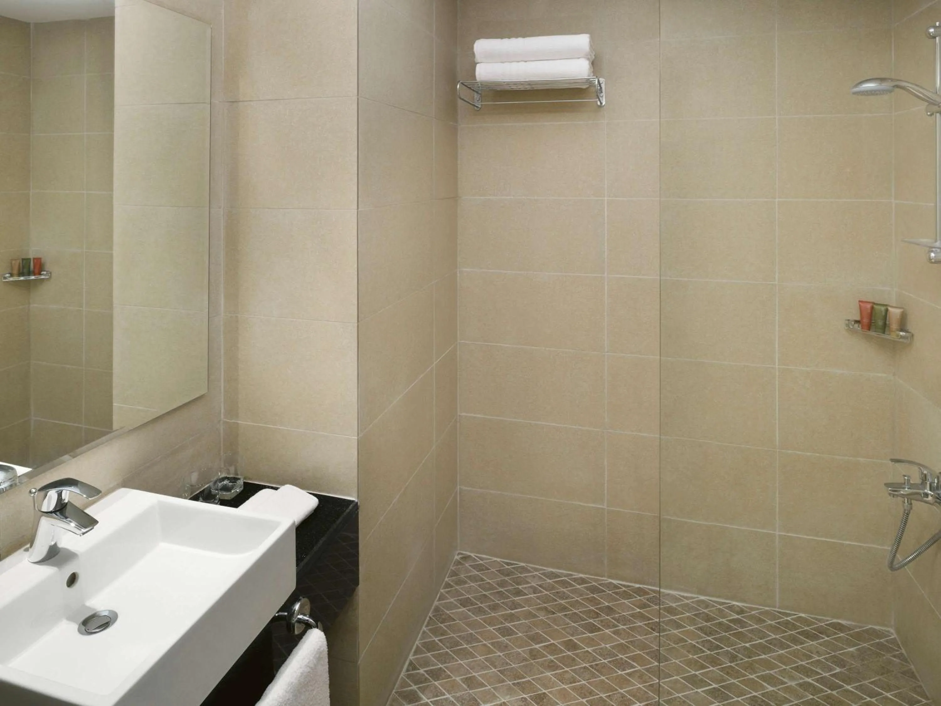 Bathroom in Mövenpick Nabatean Castle Hotel