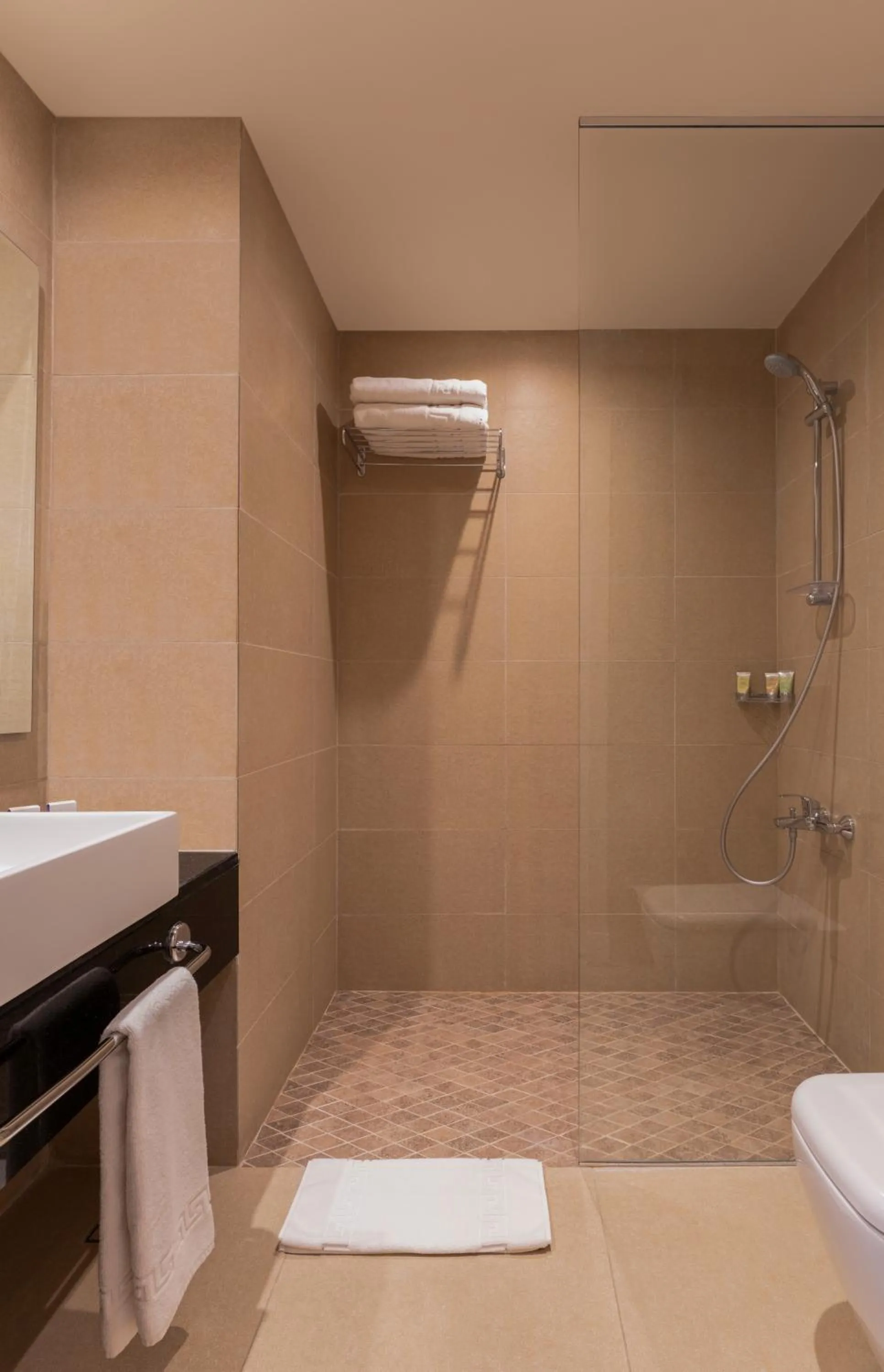 Bathroom in Mövenpick Nabatean Castle Hotel