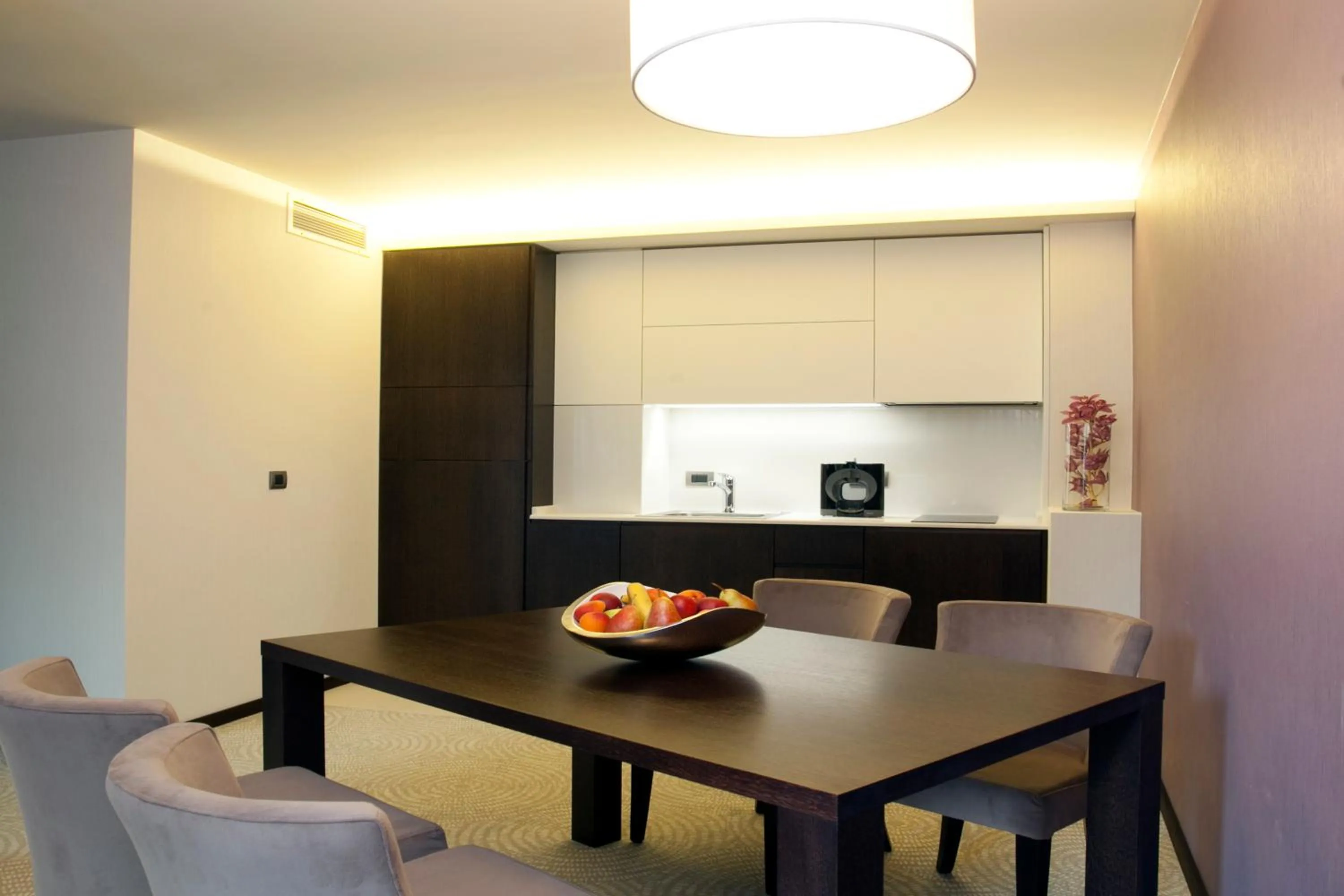 Kitchen or kitchenette in VIKO Boutique Apart Hotel