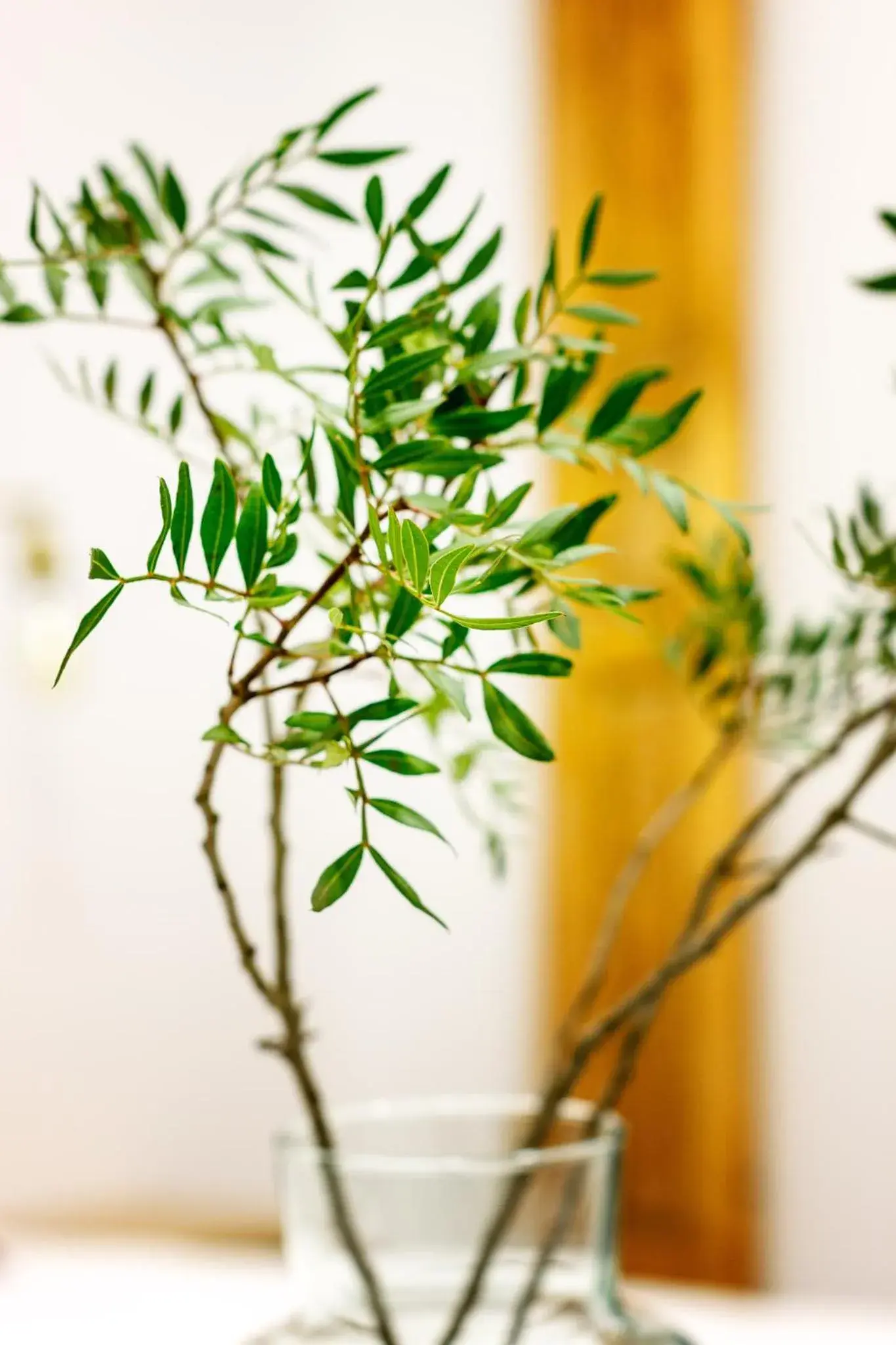 Deluxe Double Room in Jardines Boutique Deluxe Double Room in Jardines Boutique