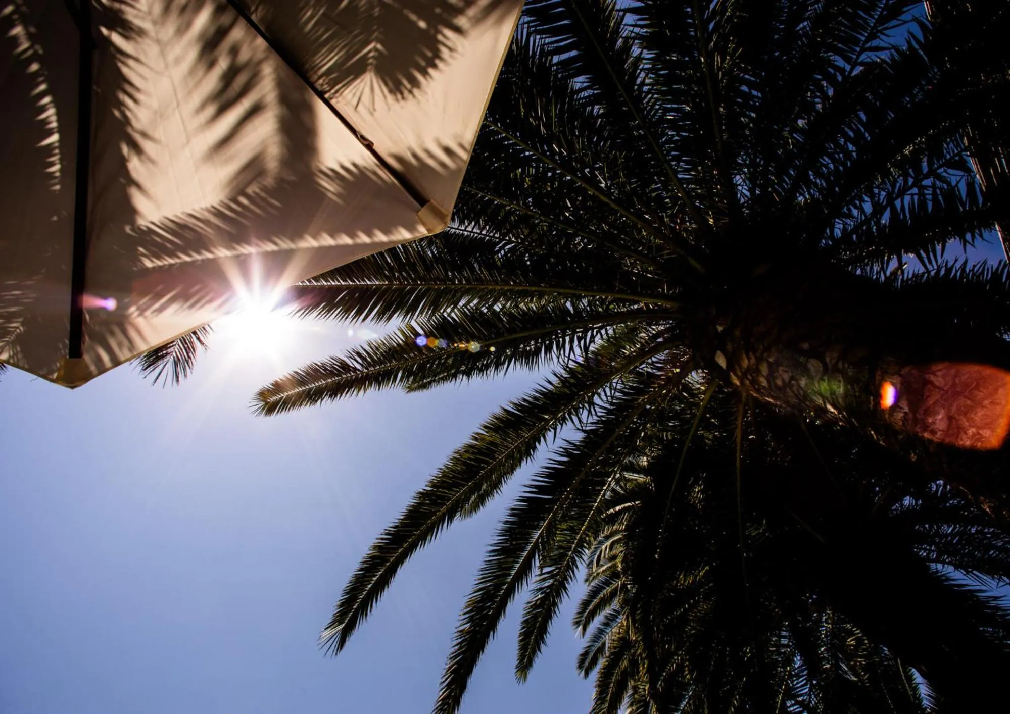 La Jacia Hotel & Resort