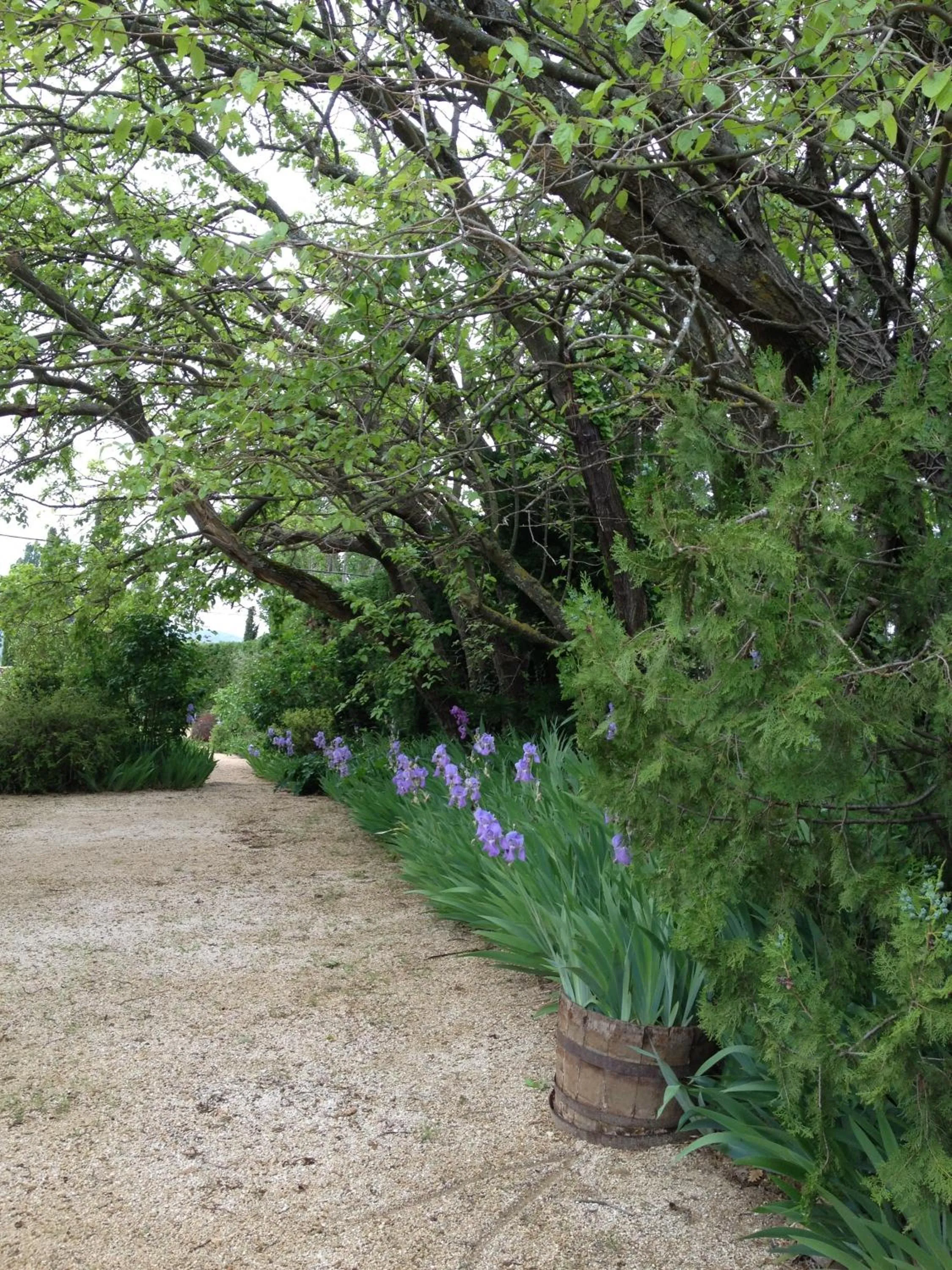 Garden in B&B Chambre de Julie Le Jardin