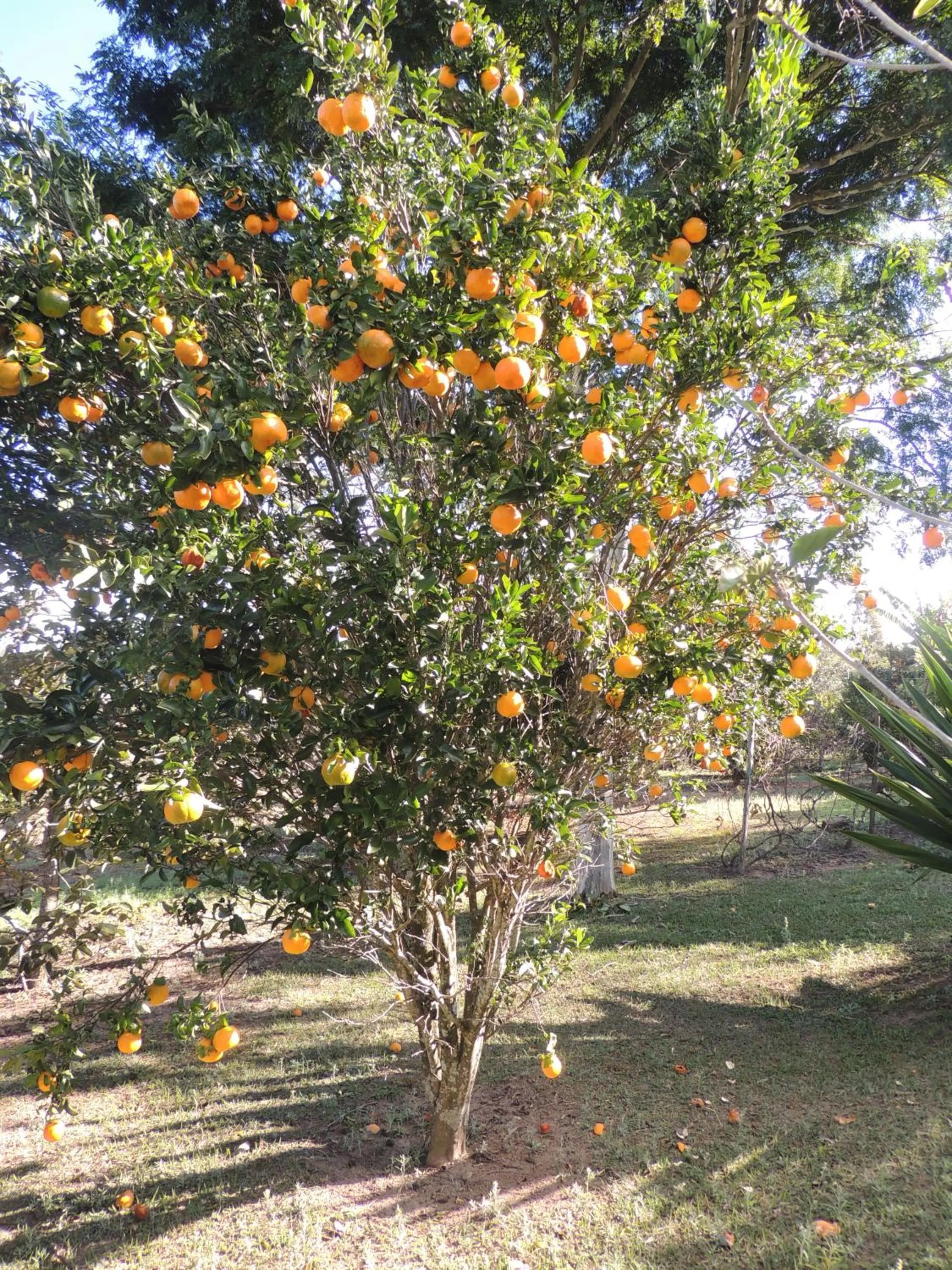 Pousada Sitio da Serra