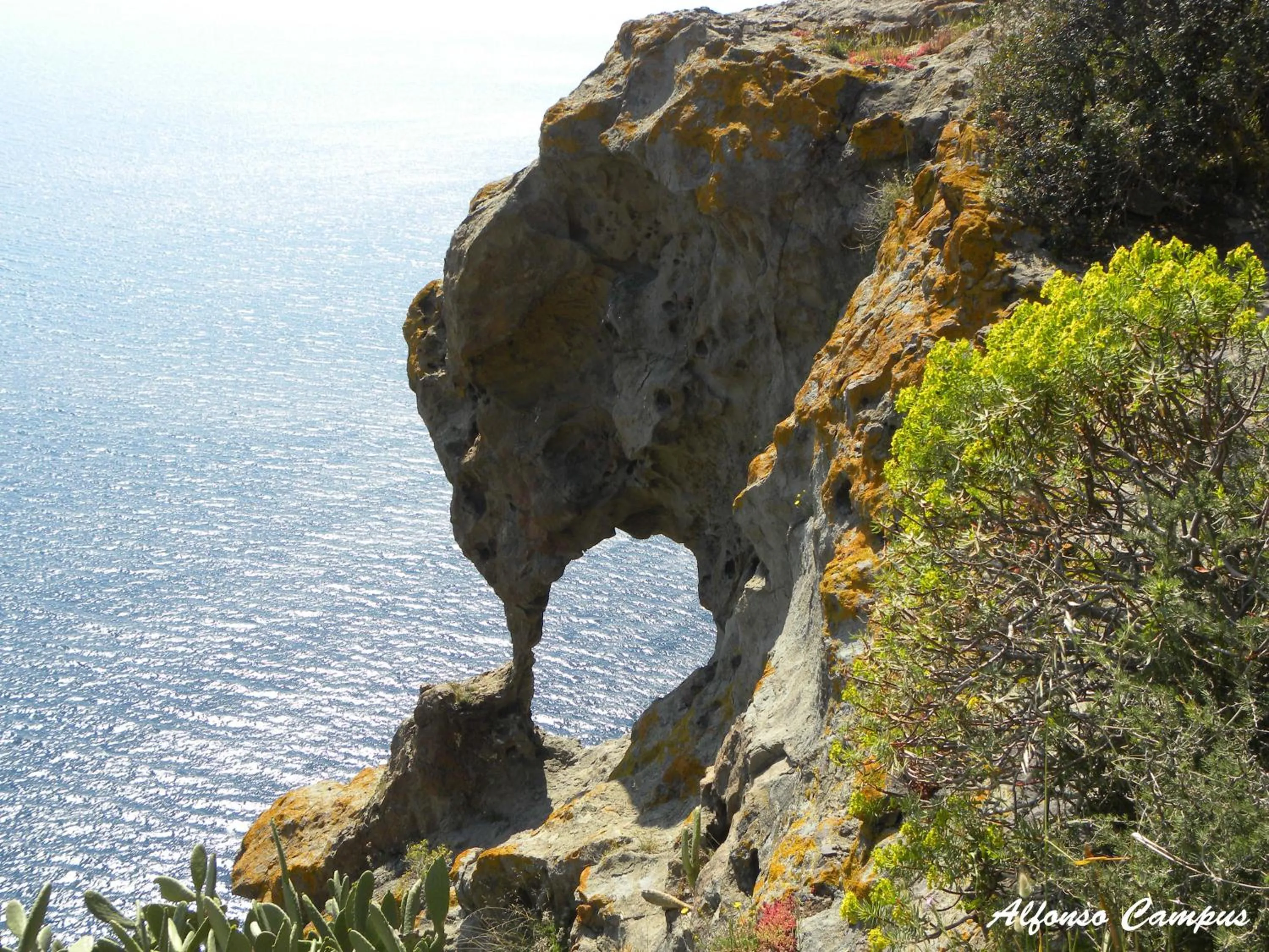 Natural landscape in Hotel Villa Gli Asfodeli