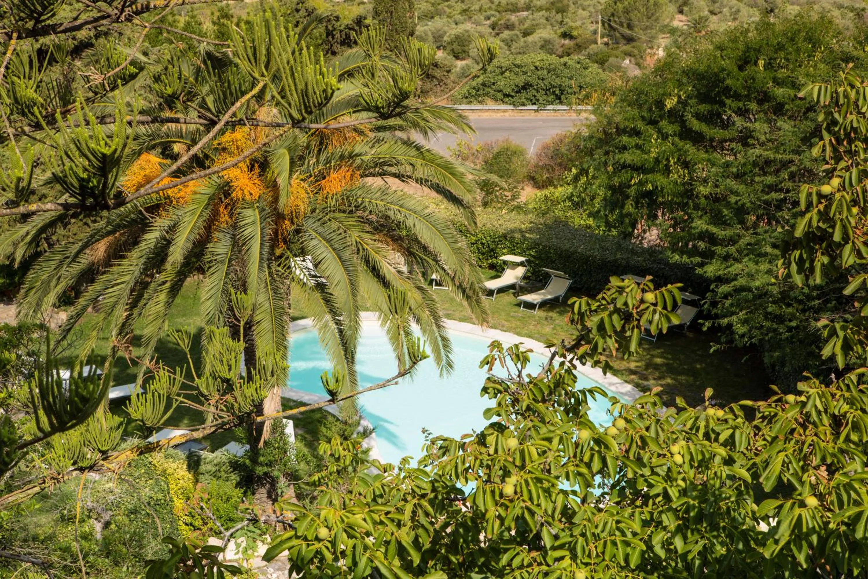 Garden in Hotel Villa Gli Asfodeli