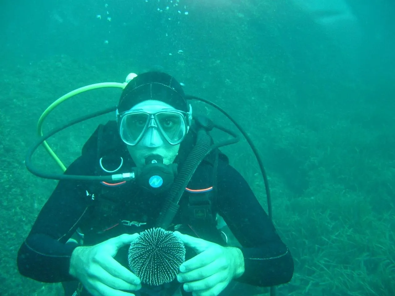 Diving in Hotel Villa Gli Asfodeli