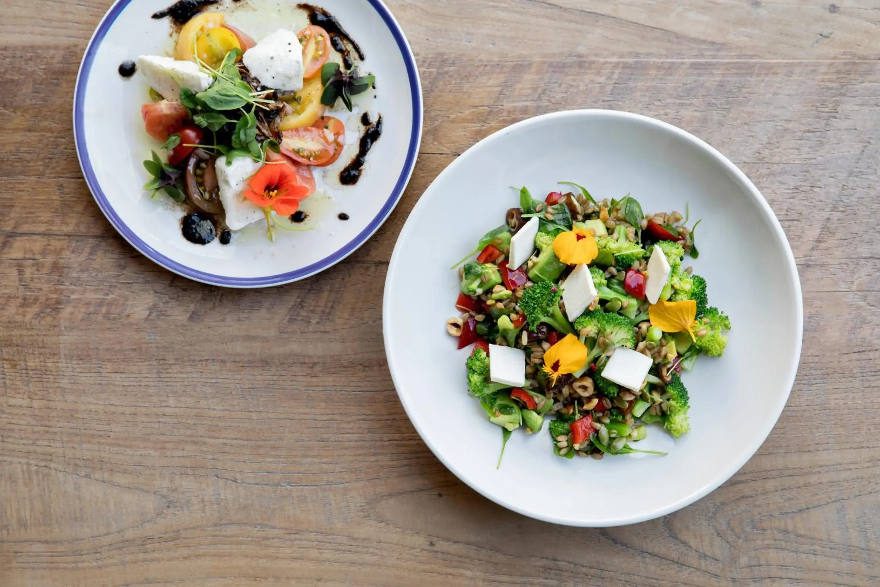 Restaurant/places to eat in Kimpton Rowan Palm Springs Hotel by IHG Restaurant/places to eat in Kimpton Rowan Palm Springs Hotel by IHG