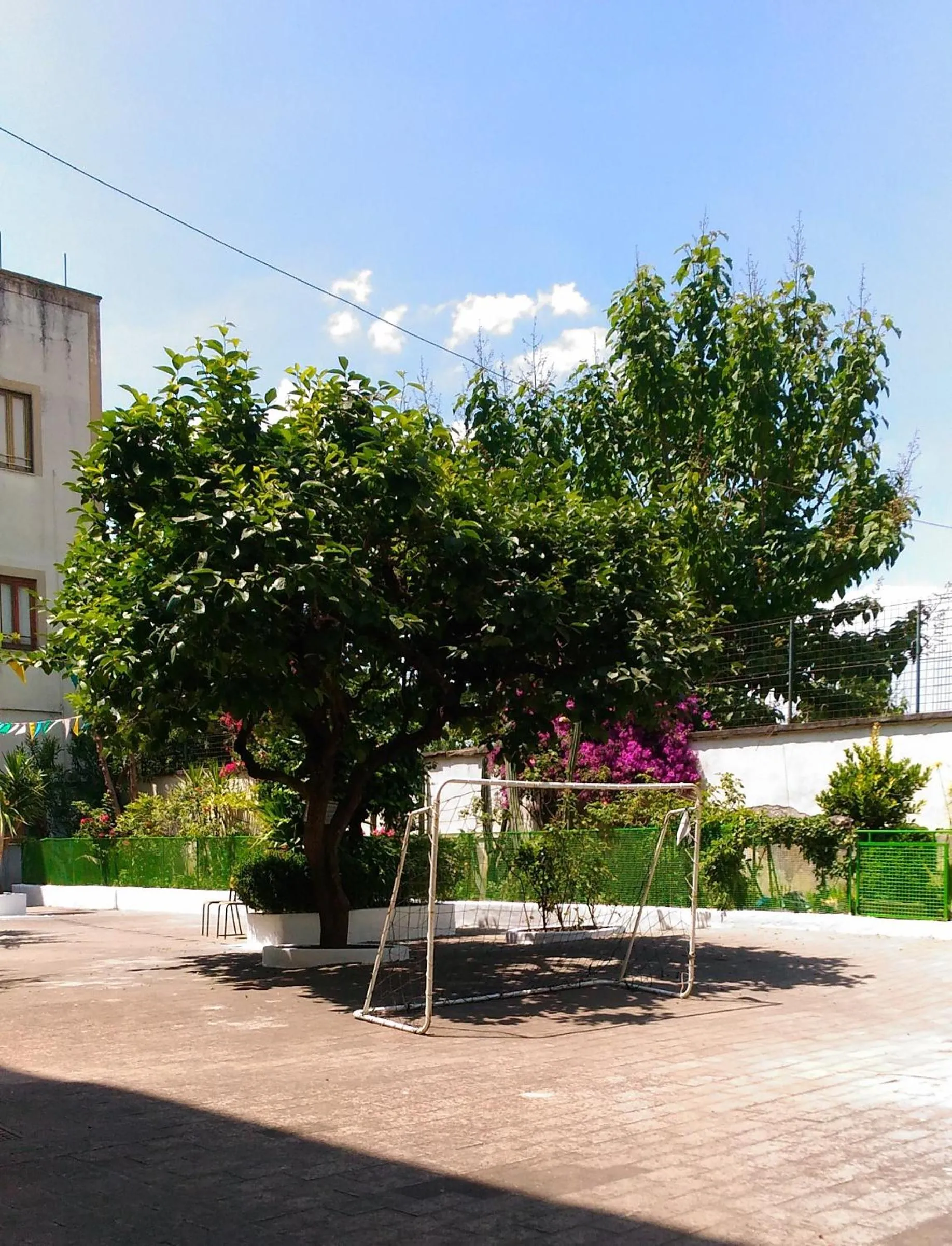 Garden in Santa Maria Maddalena