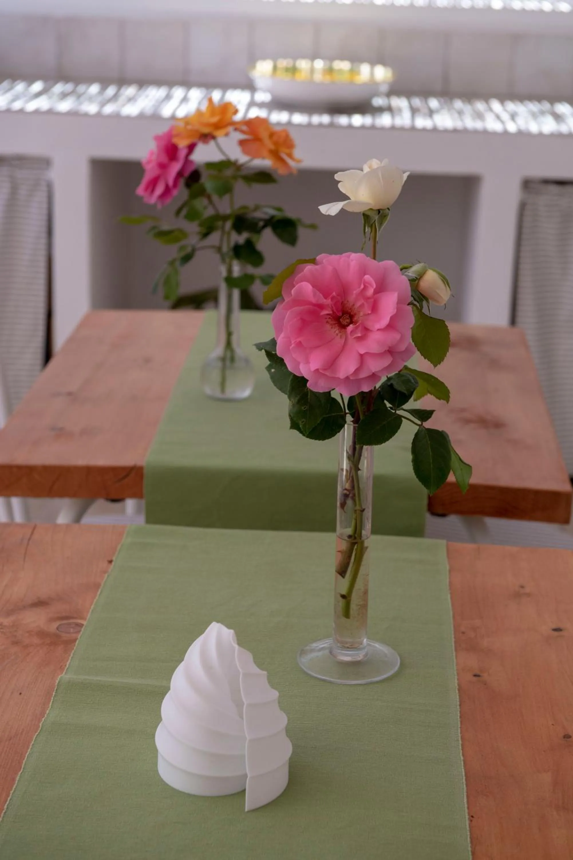 Food and drinks in B&B Punta Vivara