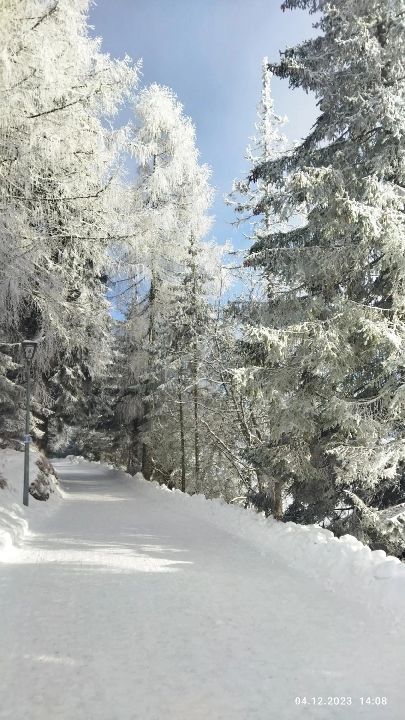 Natural landscape in Lucky Cat