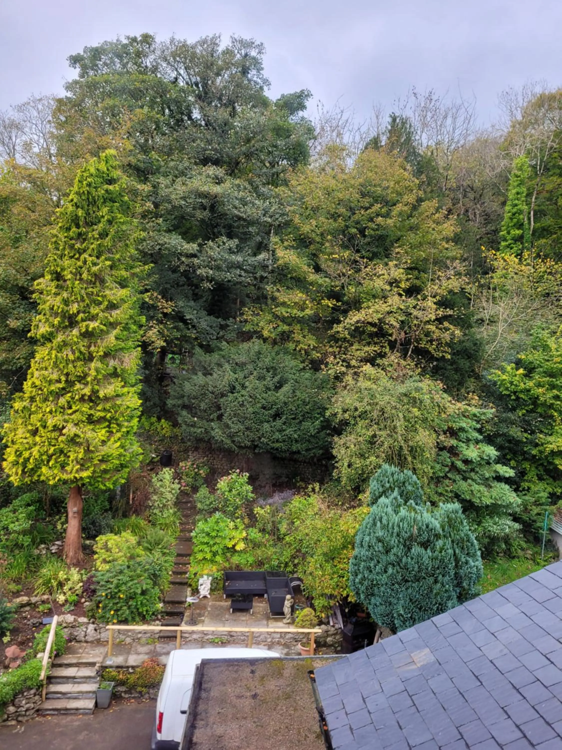 Garden in Elton Guest House