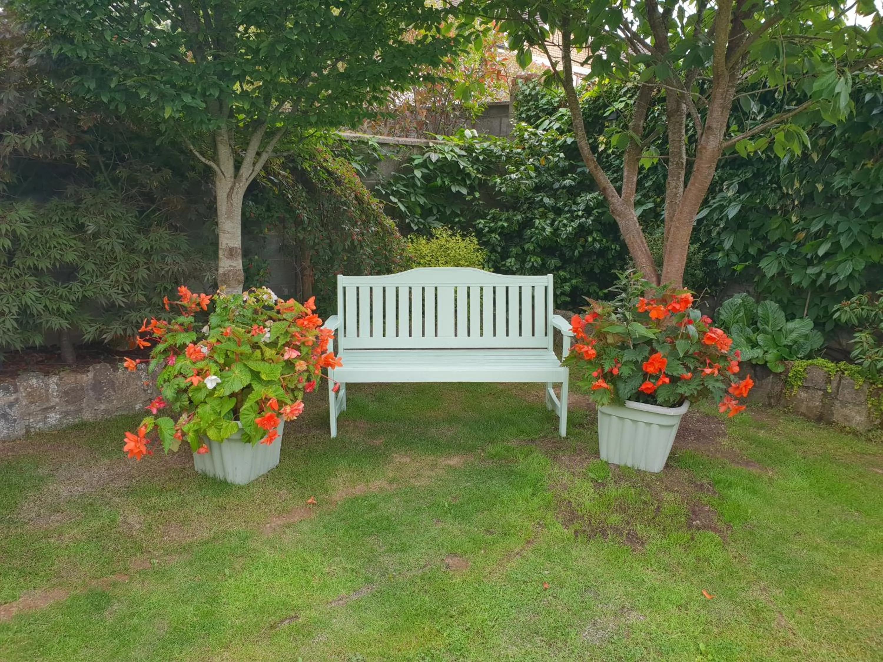 Garden in Knightsbrook Guesthouse