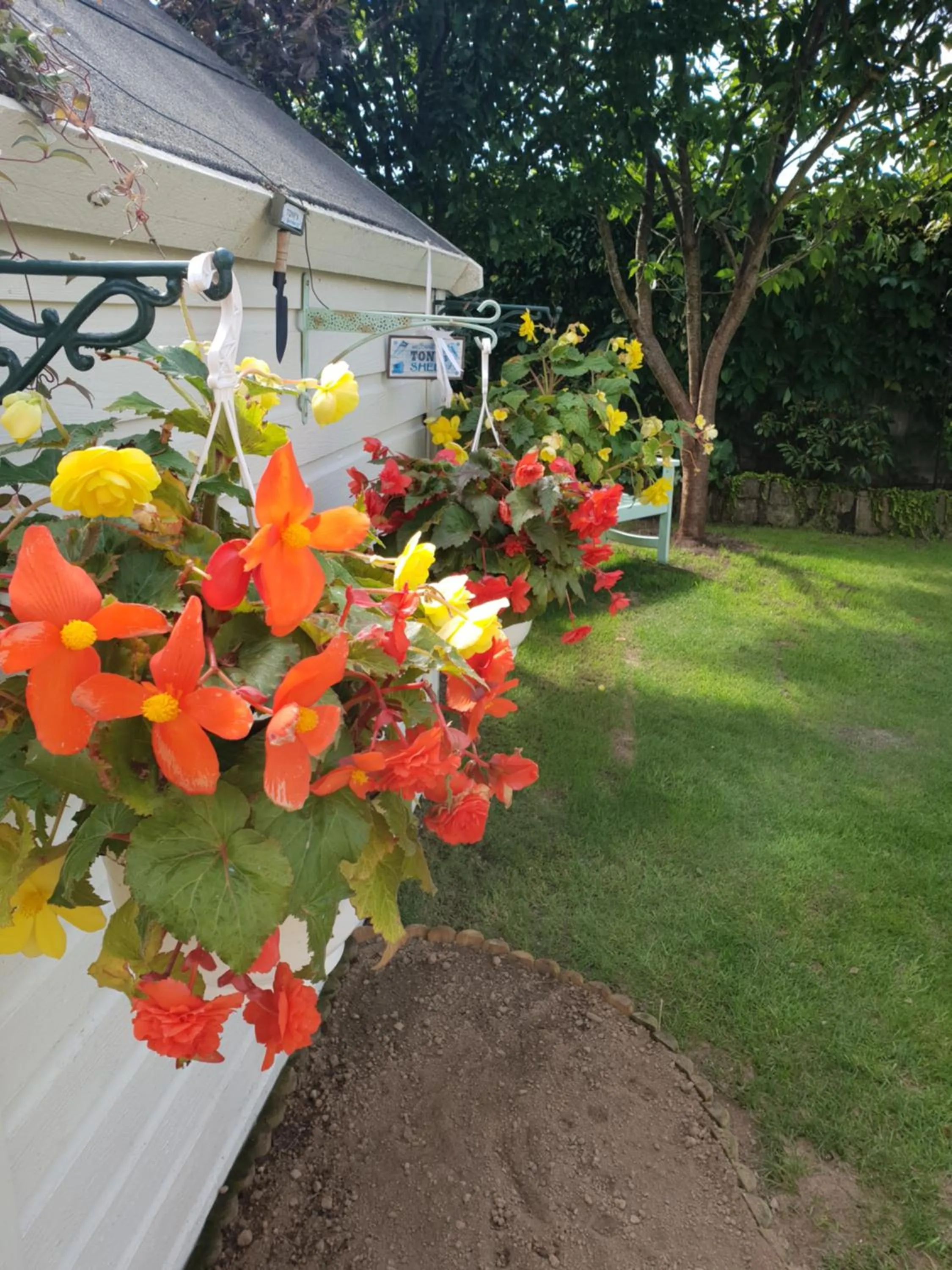 Garden in Knightsbrook Guesthouse