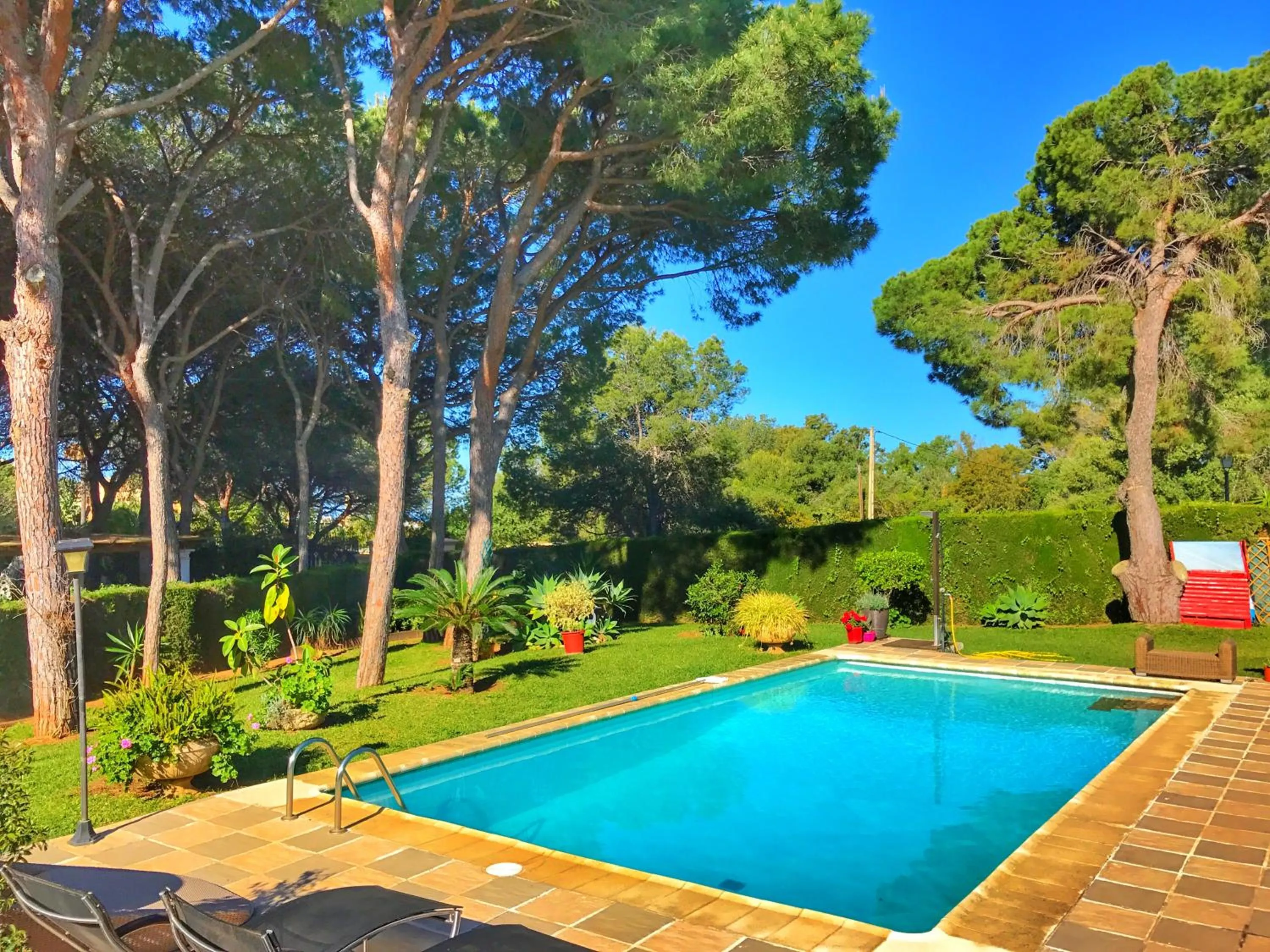 Pool view, Swimming Pool in El Nácar Bed & Breakfast