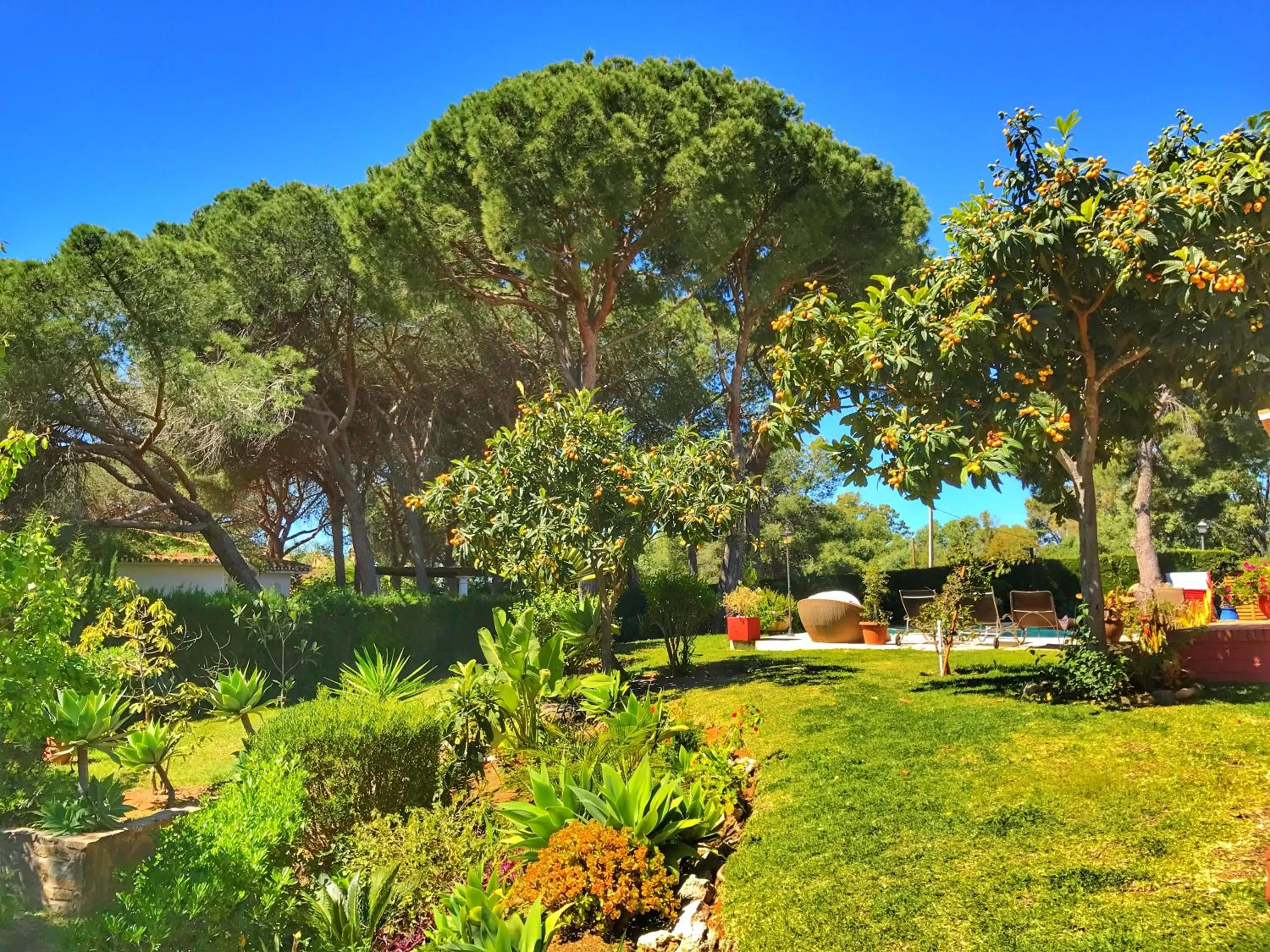 Garden view, Garden in El Nácar Bed & Breakfast