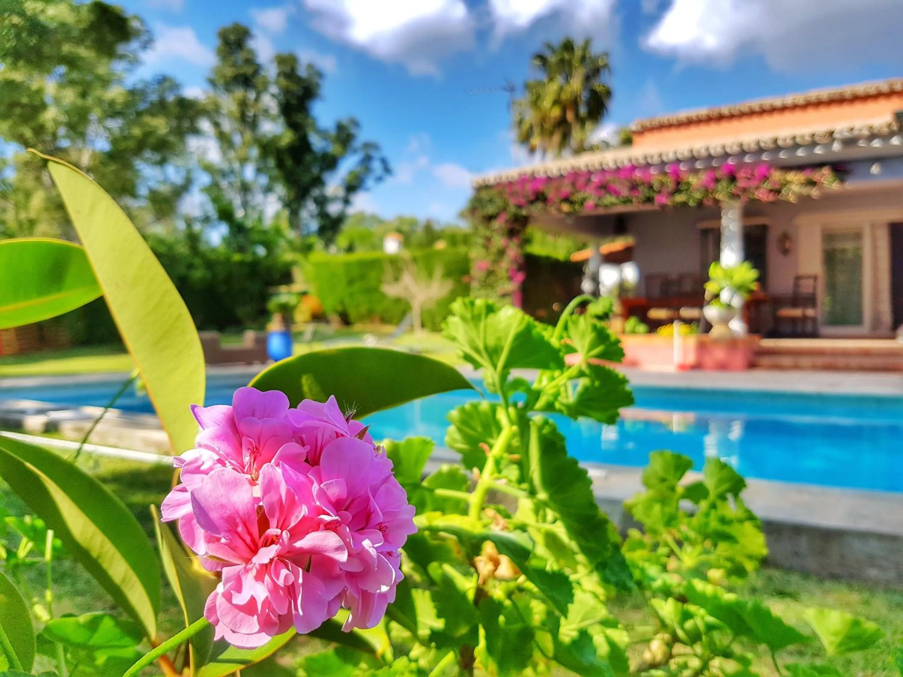 Decorative detail, Swimming Pool in El Nácar Bed & Breakfast