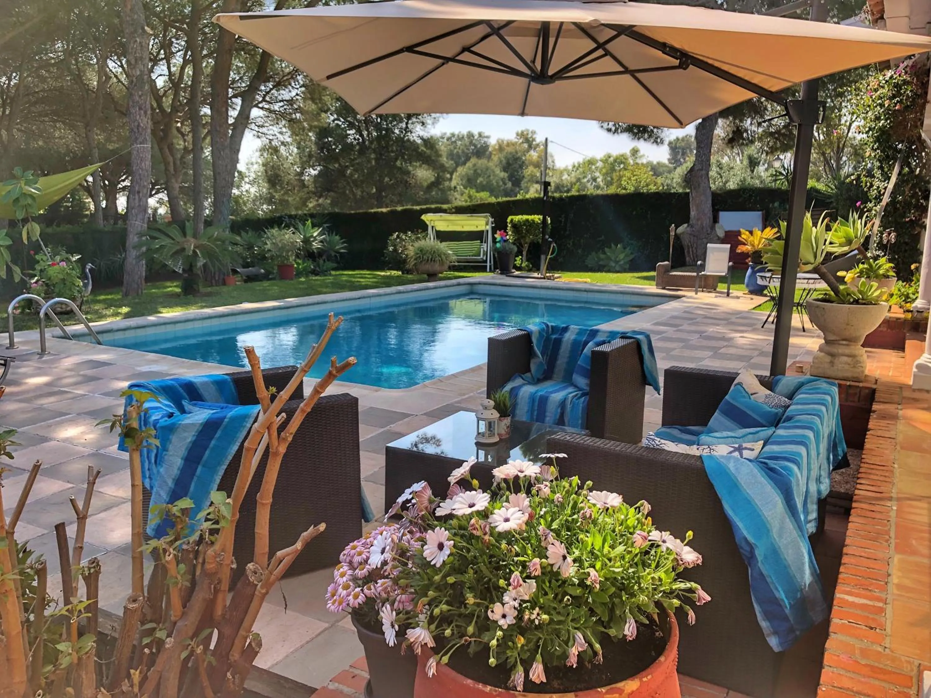 Garden view, Swimming Pool in El Nácar Bed & Breakfast