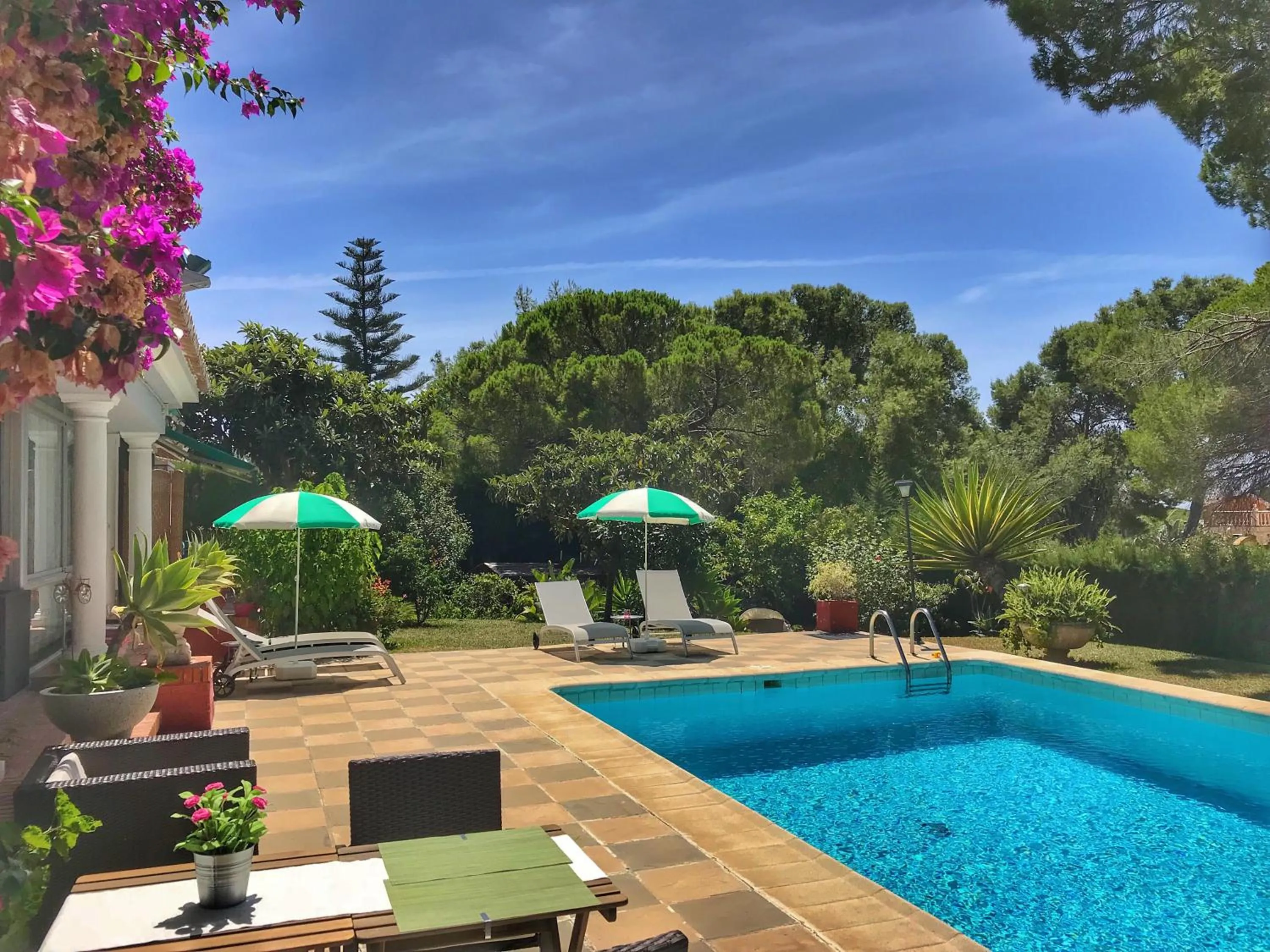 Garden view, Swimming Pool in El Nácar Bed & Breakfast