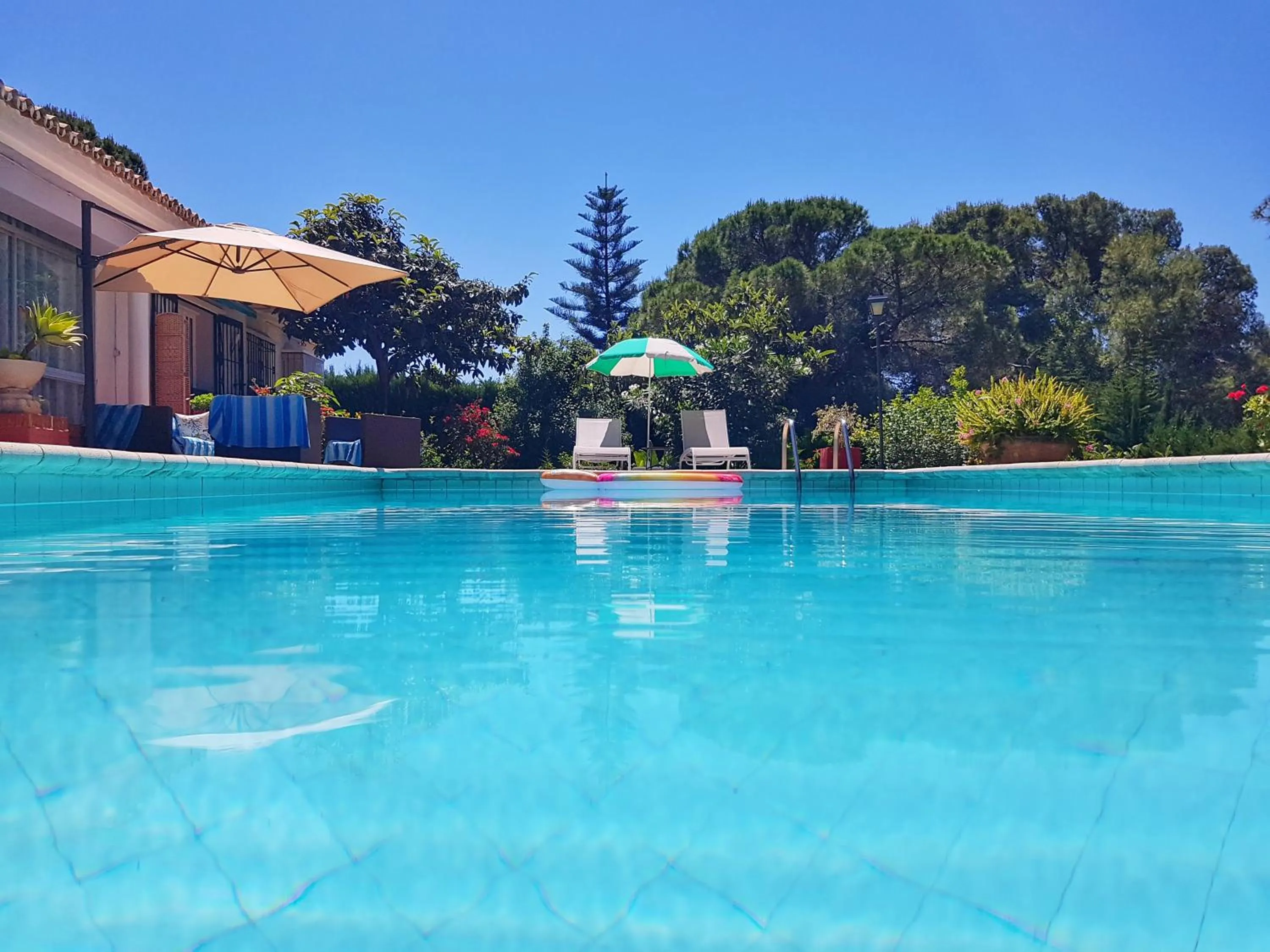 Pool view, Swimming Pool in El Nácar Bed & Breakfast