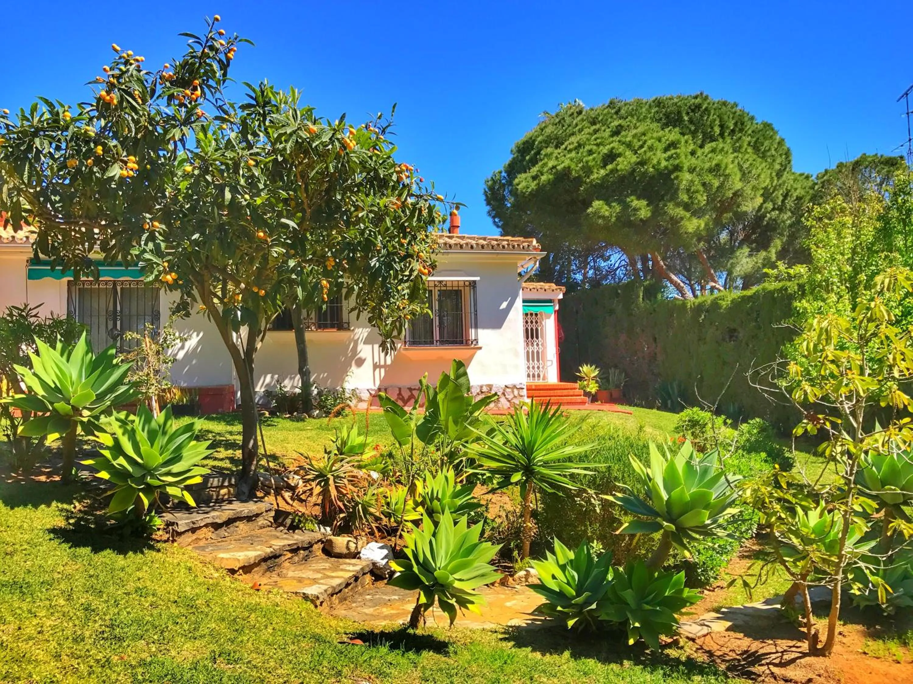 Garden view, Property Building in El Nácar Bed & Breakfast