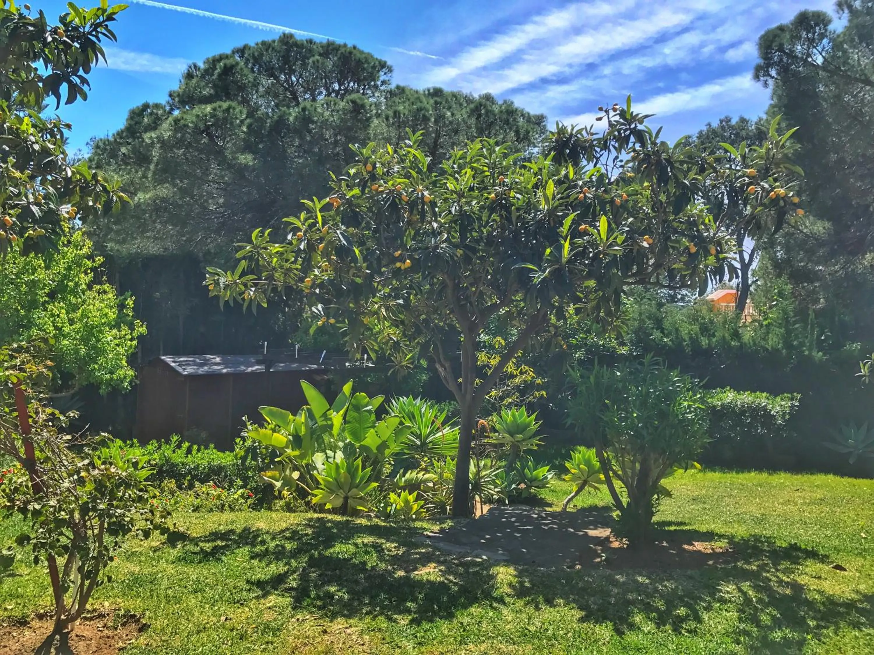 Garden view, Garden in El Nácar Bed & Breakfast