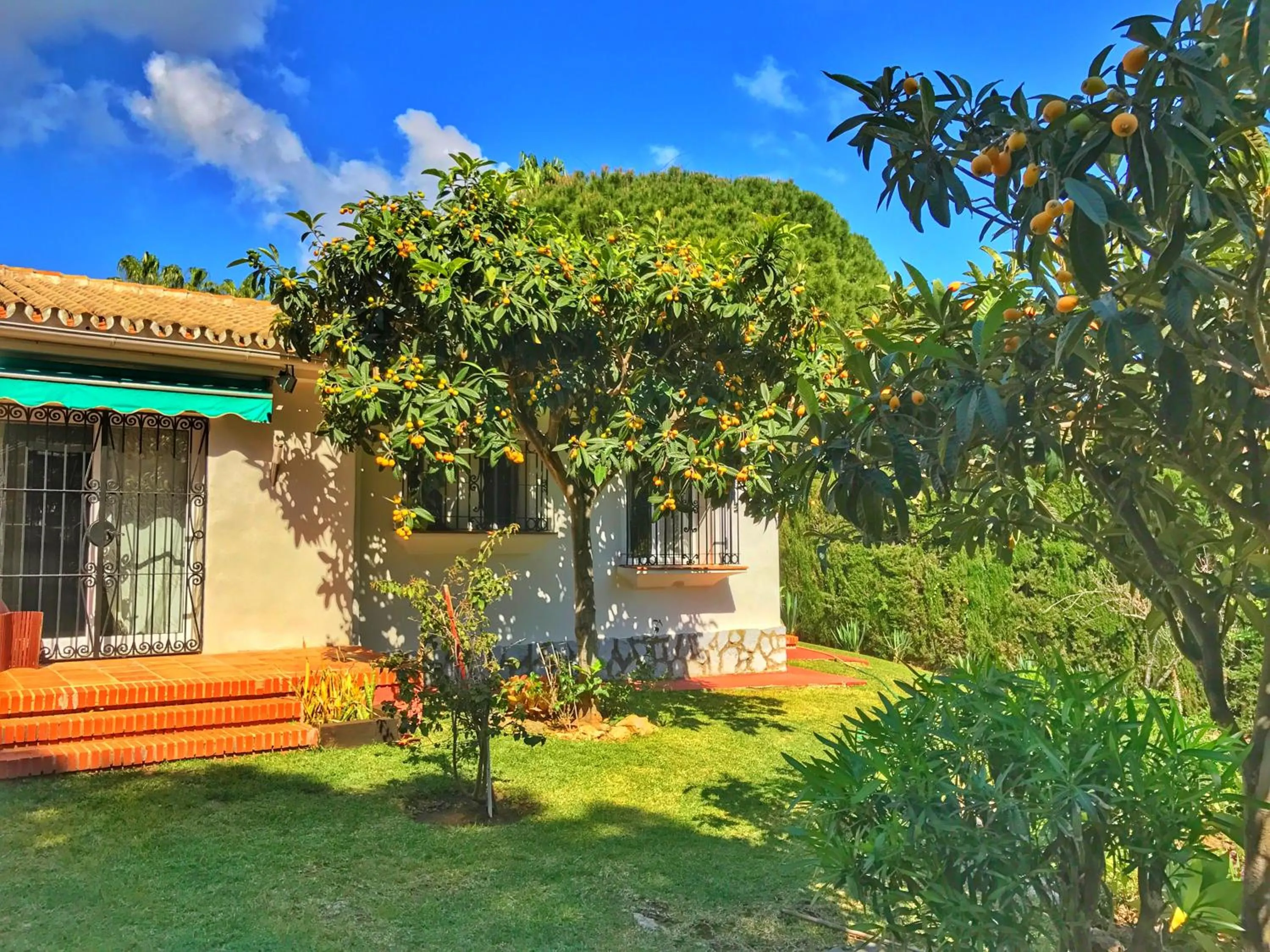 Garden view, Property Building in El Nácar Bed & Breakfast