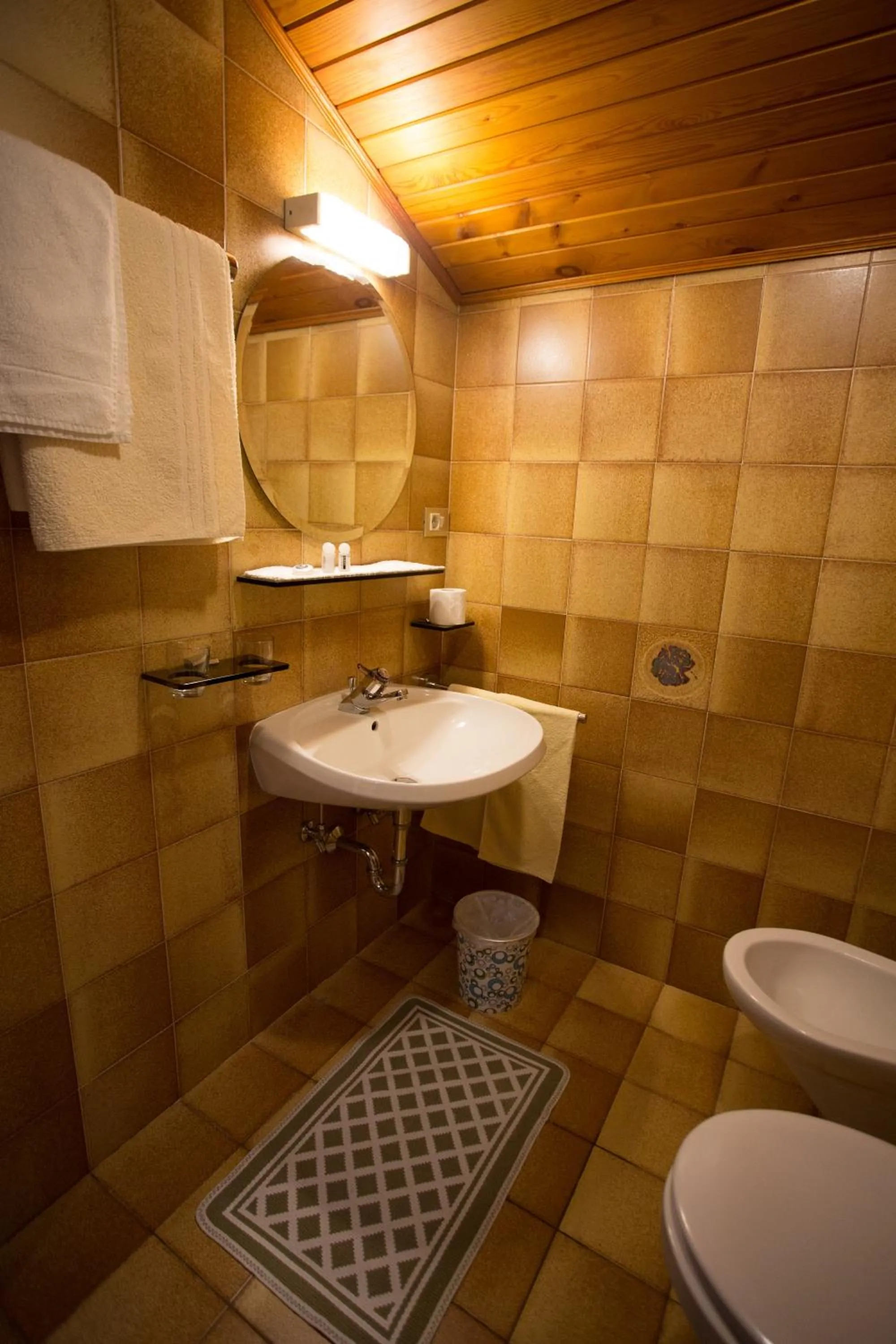 Shower in Residence Rienz