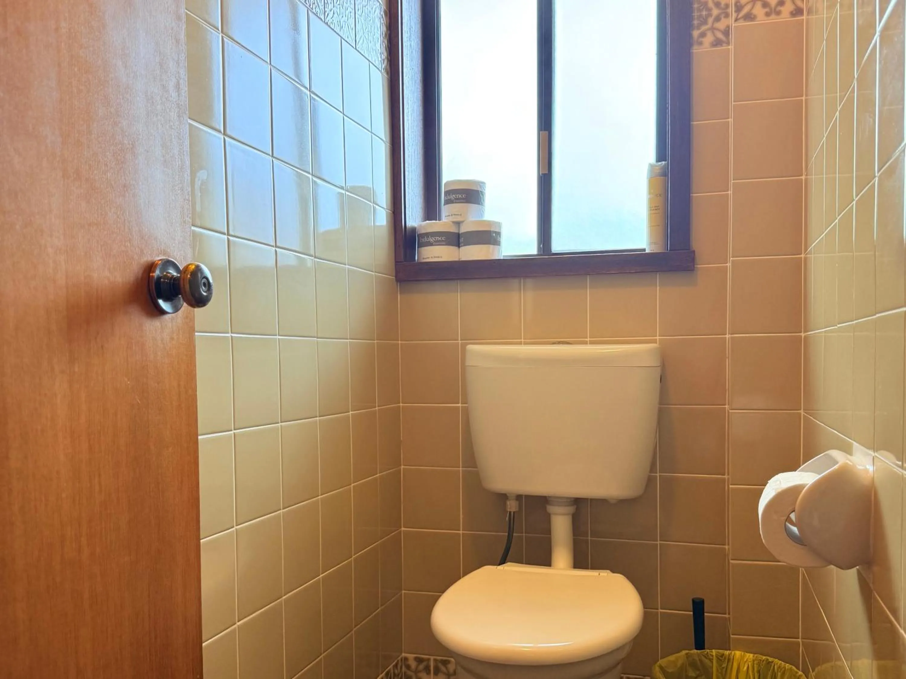 Toilet in Leski Club