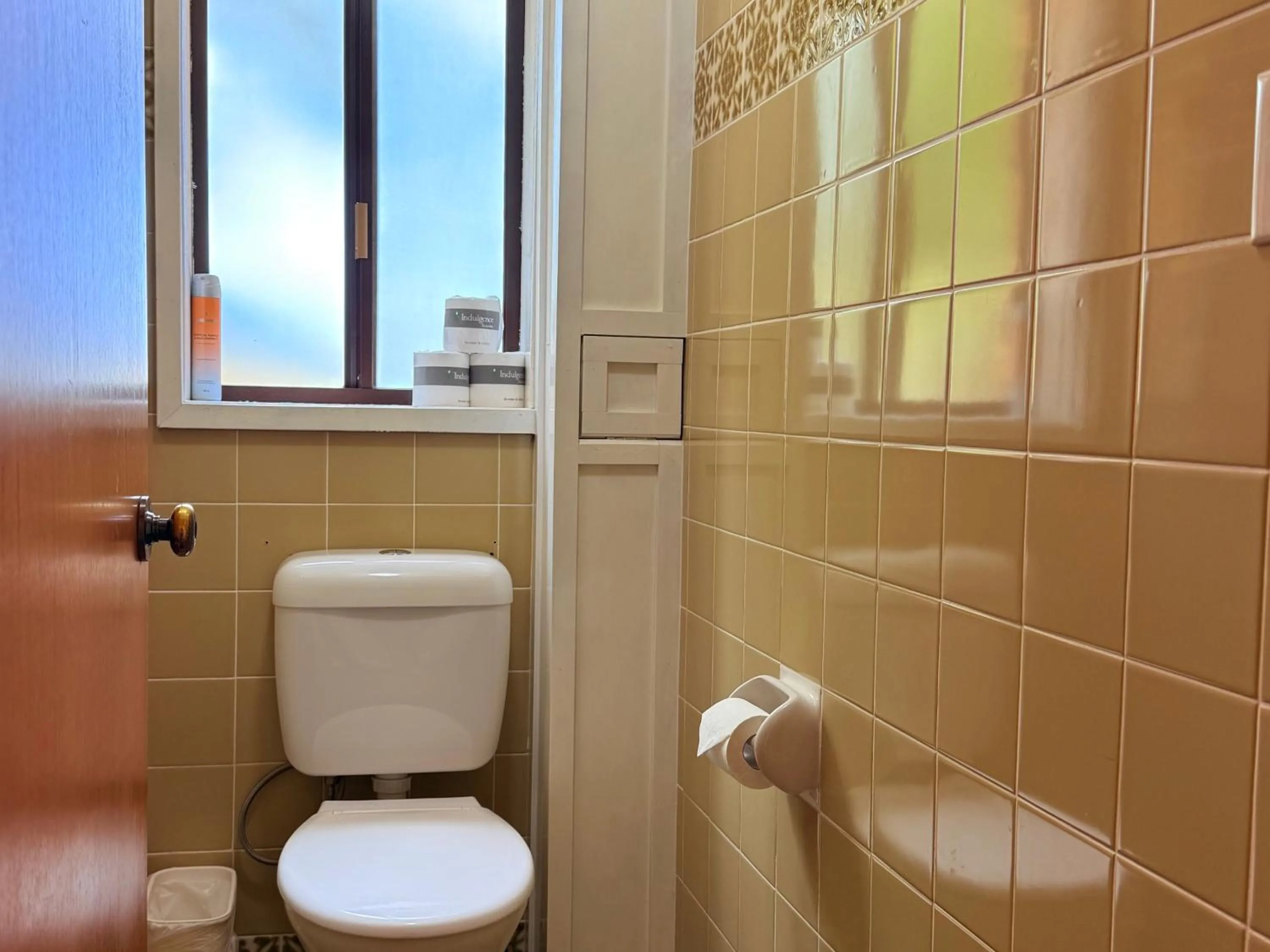 Toilet in Leski Club